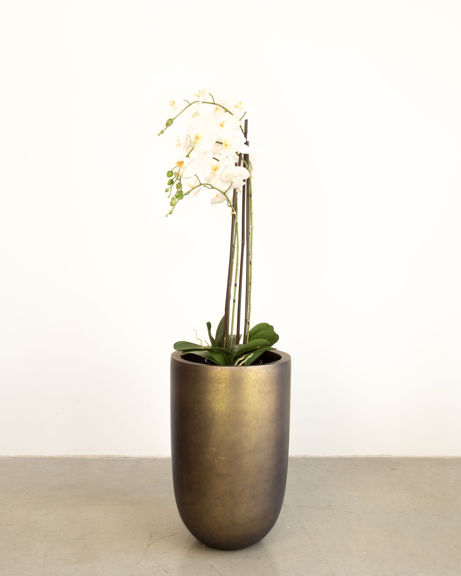 Noblesse Pflanzgefäß Set mit weißer Orchidee