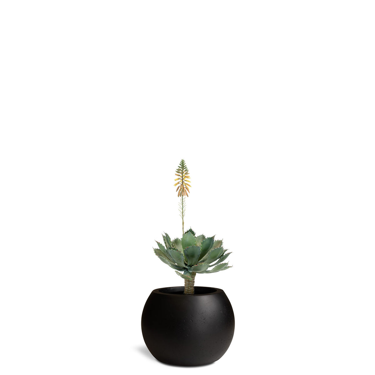 UV-stabile künstliche Aloe Vera im Basalo Globe aus recyceltem Material Seitenansicht Get Your Green