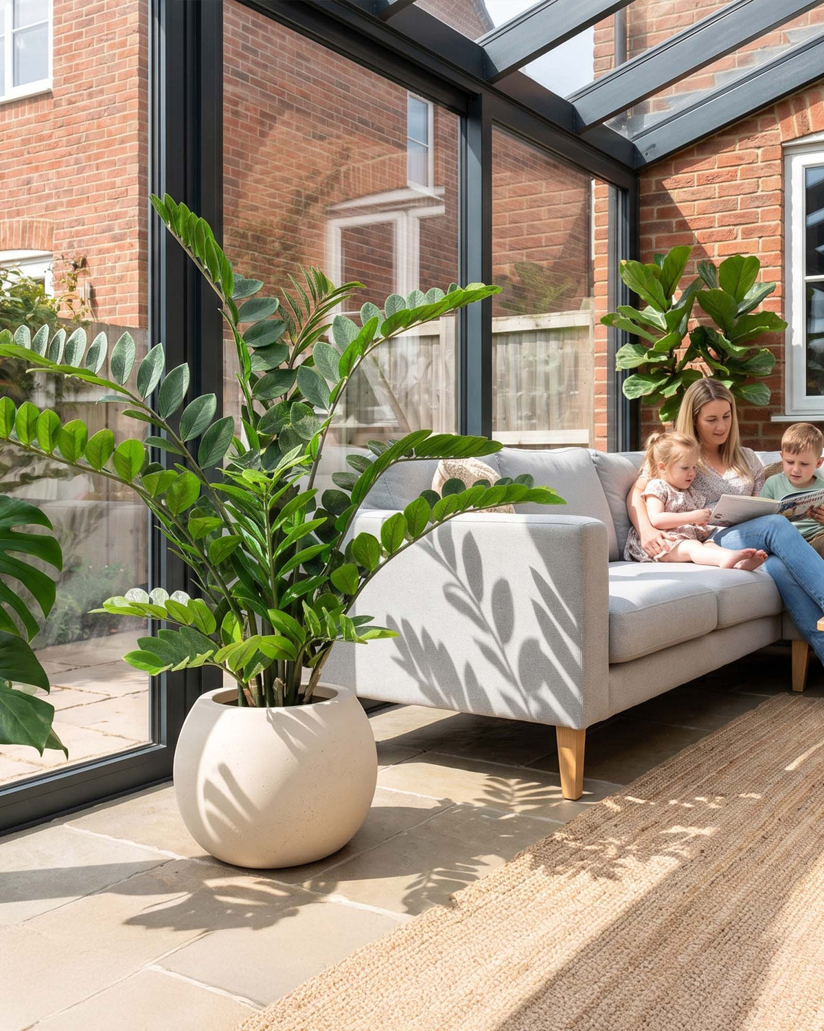 Set aus Basalo Globe und Zamioculcas