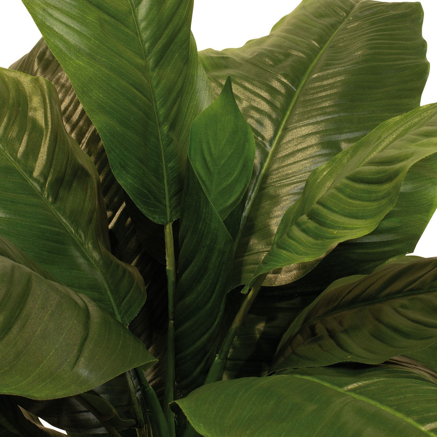 Einblatt - Spathiphyllum Kunstpflanze