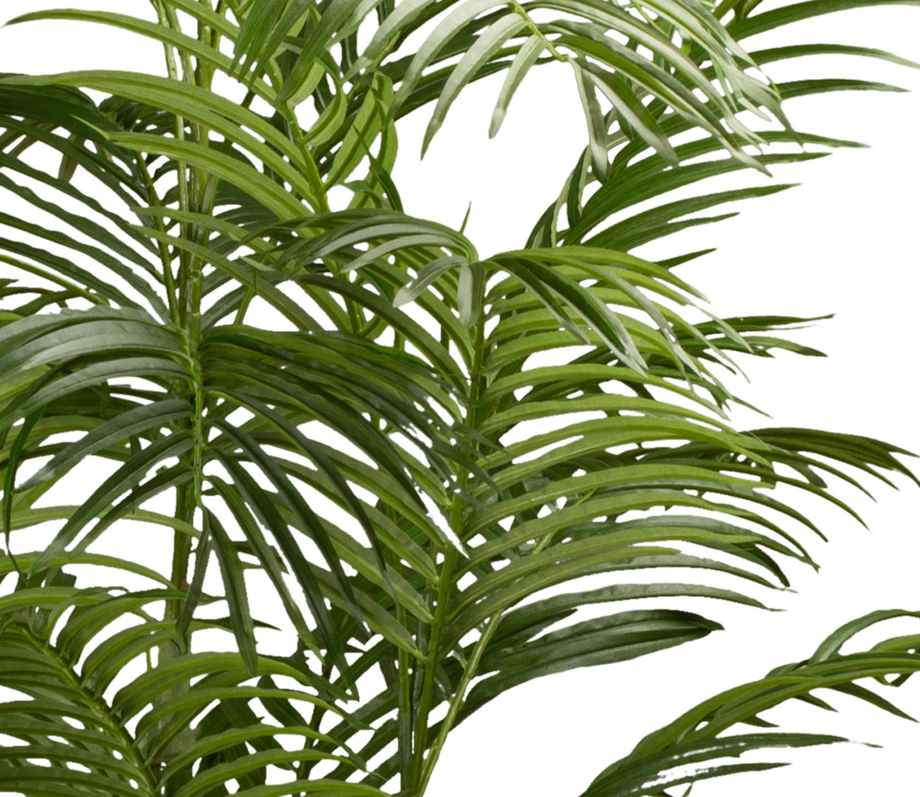 Goldfruchtpalme - Areca Palme Kunstpflanze
