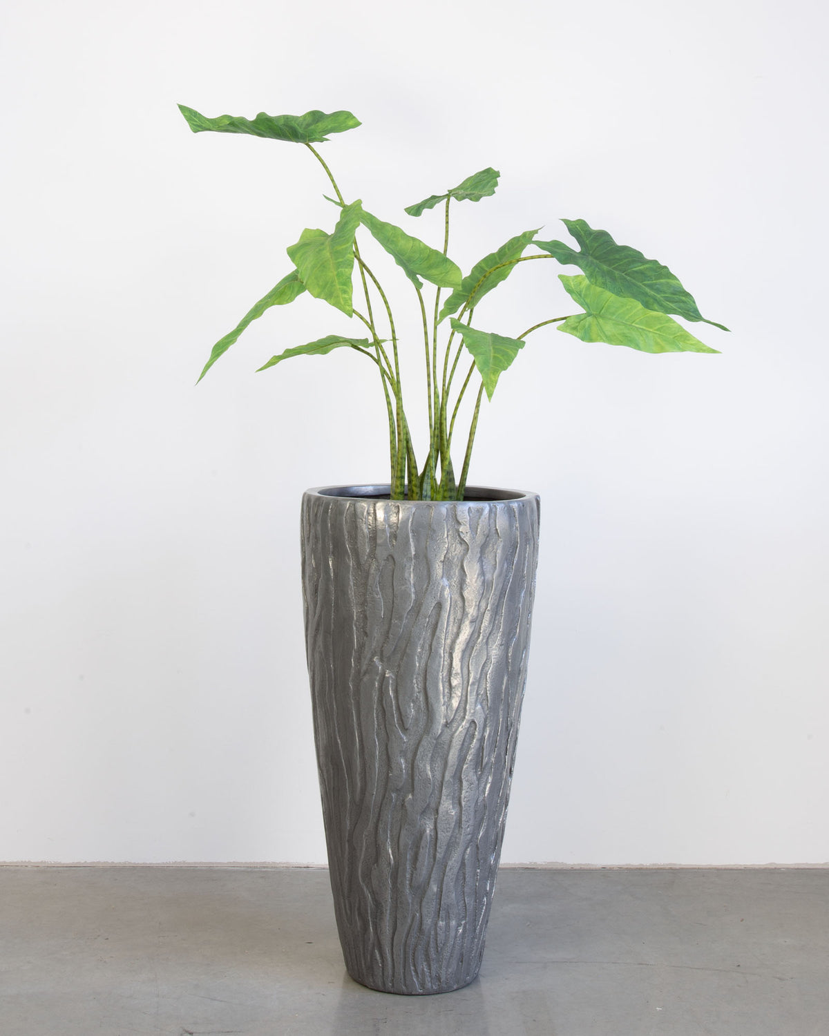 Valano Set mit Zebra-Elefantenohr