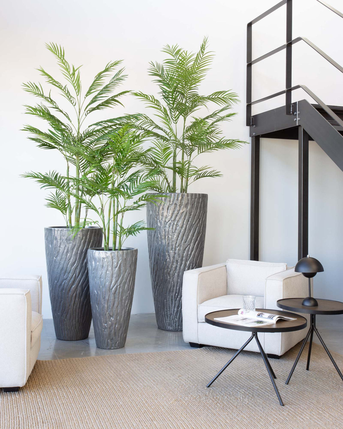 Valano Set mit Goldfruchtpalme