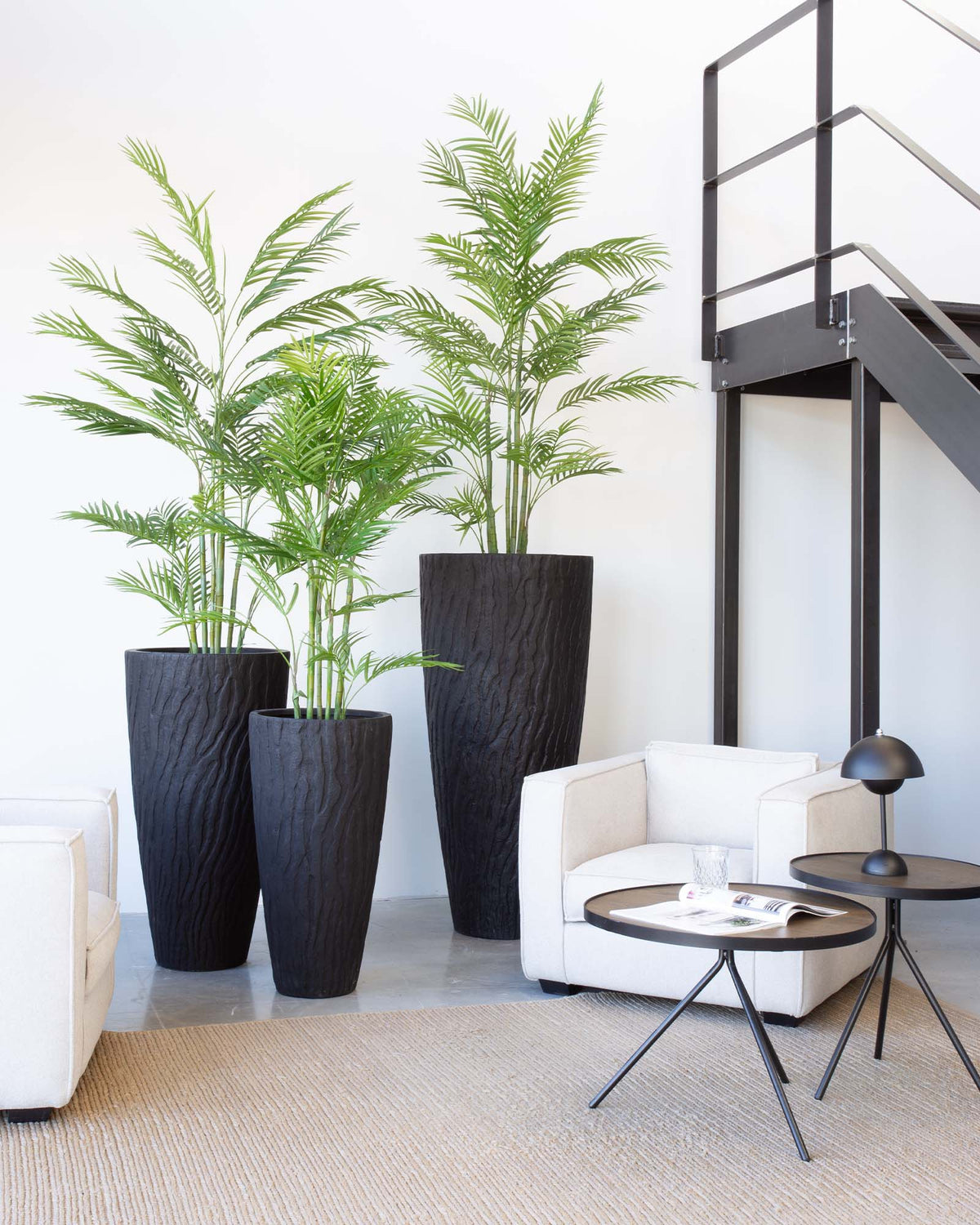 Valano Set mit Goldfruchtpalme