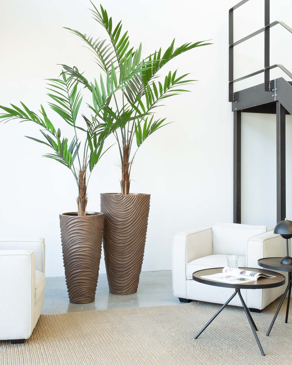 Oviano Set mit Kentia