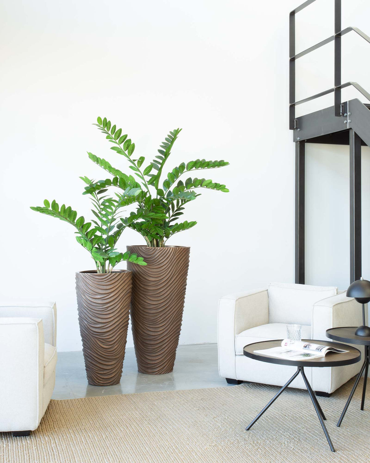 Oviano Set mit Zamioculcas