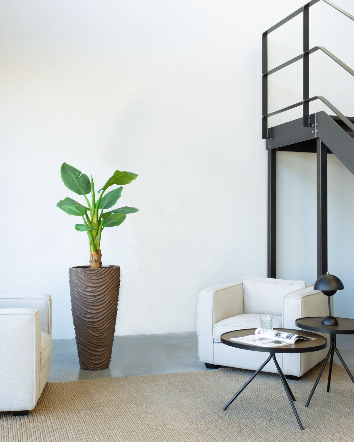 Oviano Set mit Bananenbaum