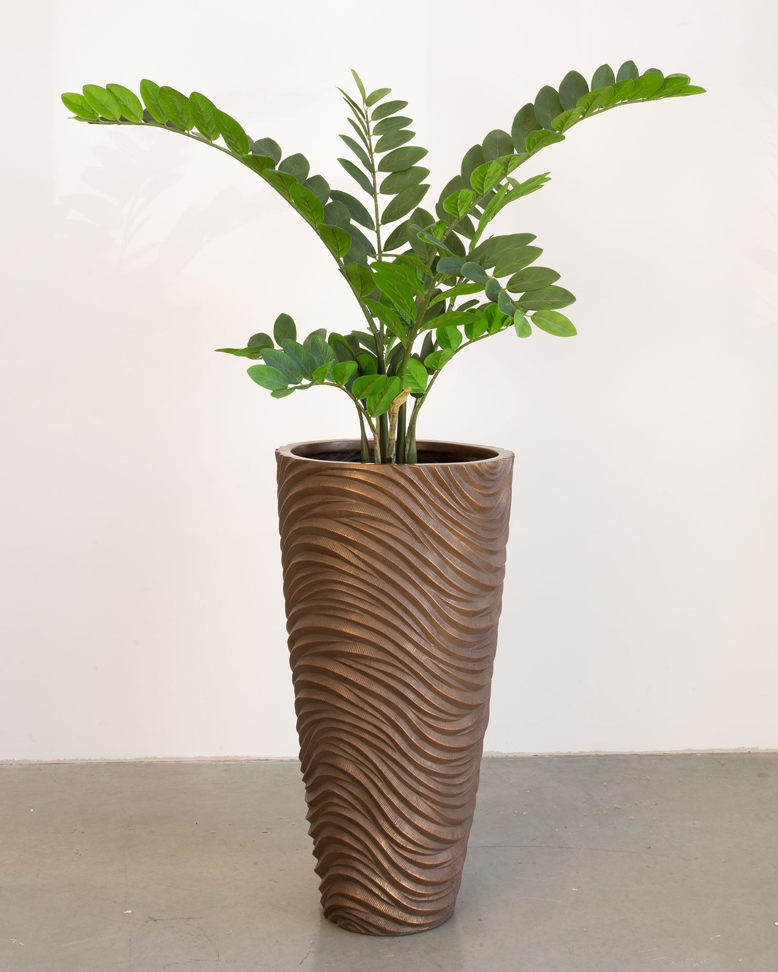 Oviano Set mit Zamioculcas