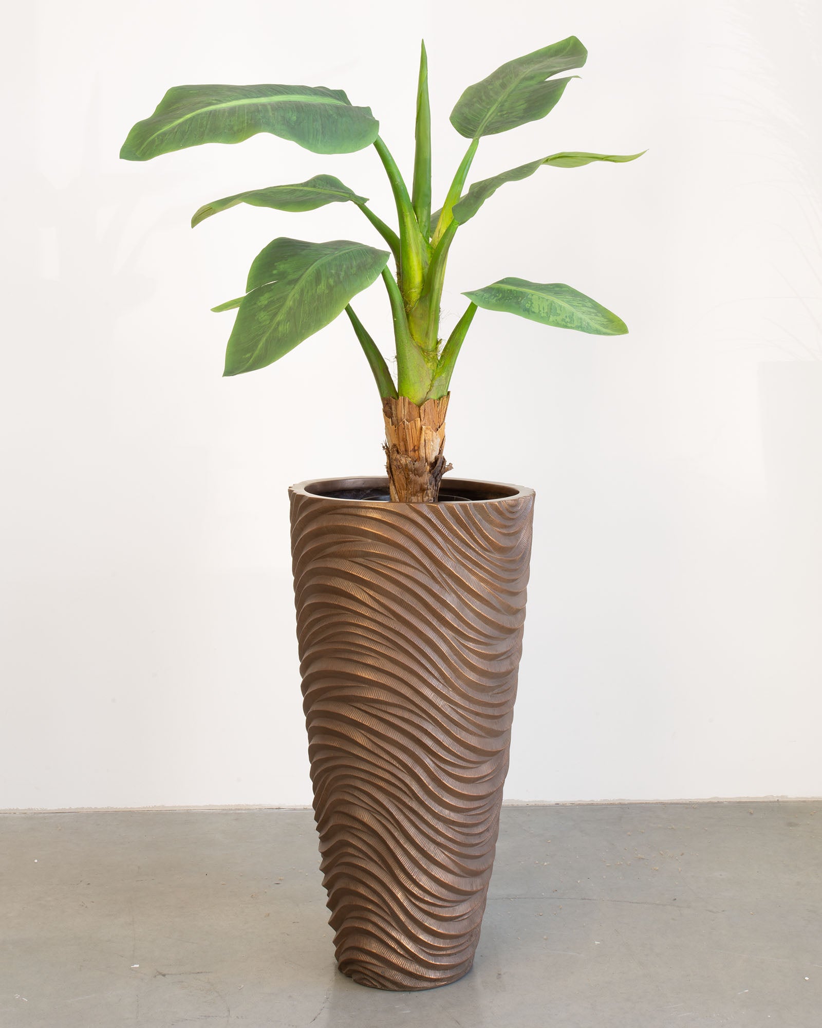 Oviano Set mit Bananenbaum