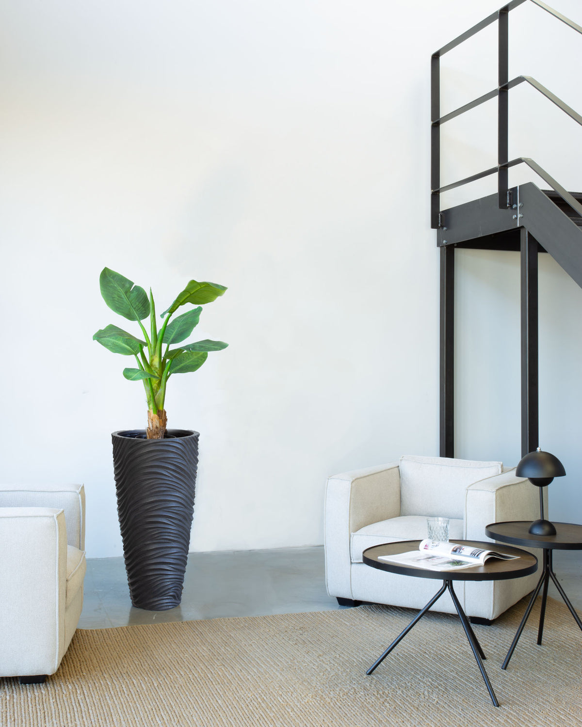 Oviano Set mit Bananenbaum