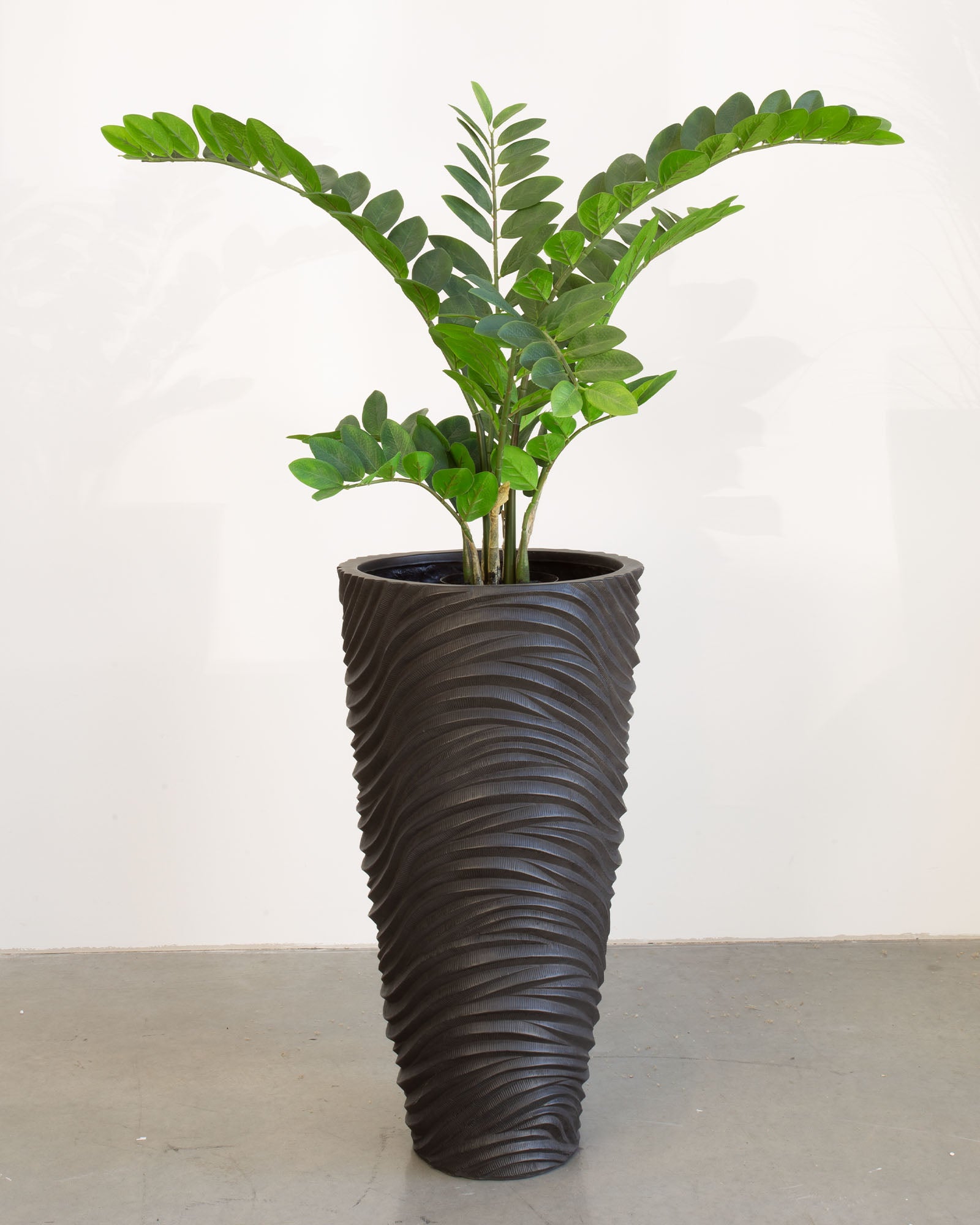 Oviano Set mit Zamioculcas