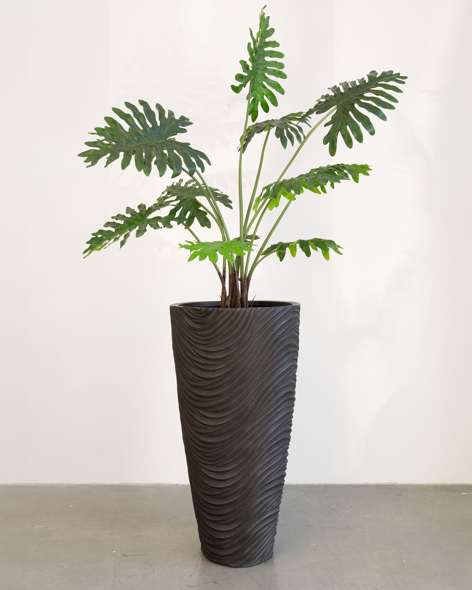 Oviano Set mit Philodendron