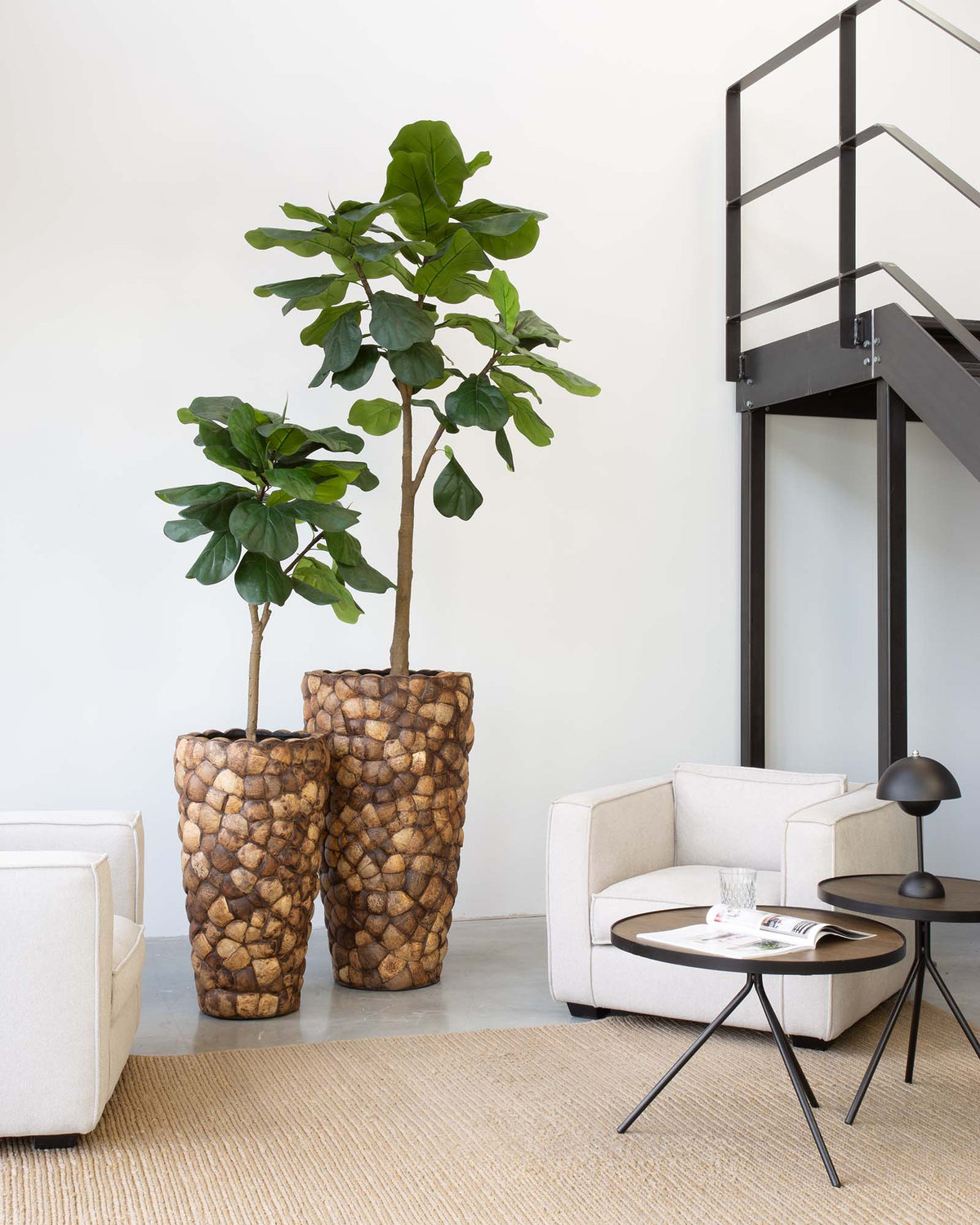 Kokona Set mit Geigenfeige