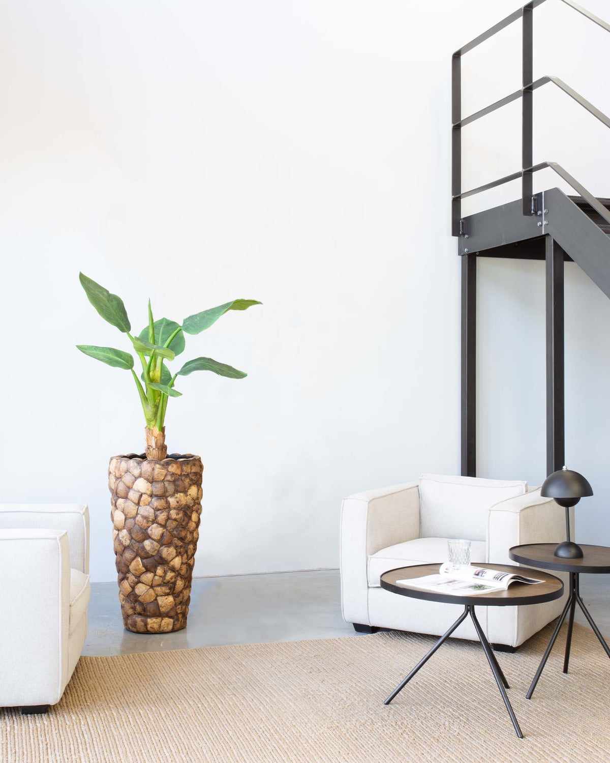 Kokona Set mit Bananenbaum