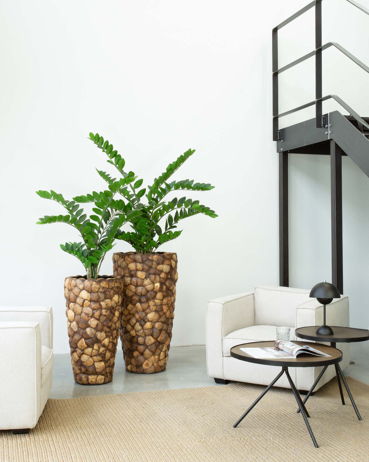 Kokona Set mit Zamioculcas