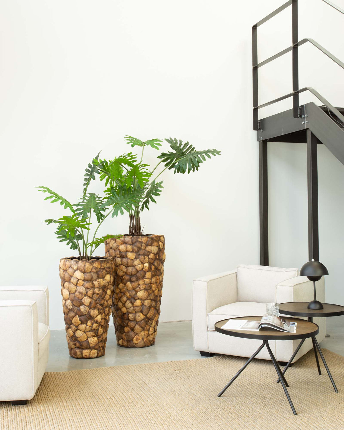 Kokona Set mit Baum-Philodendron