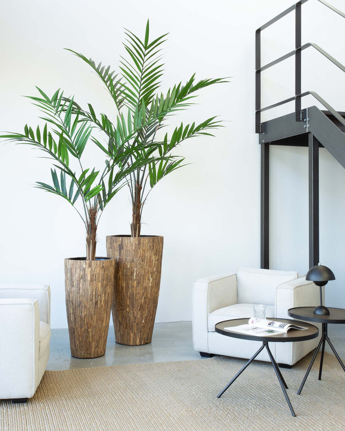 Ligno Set mit Kentia