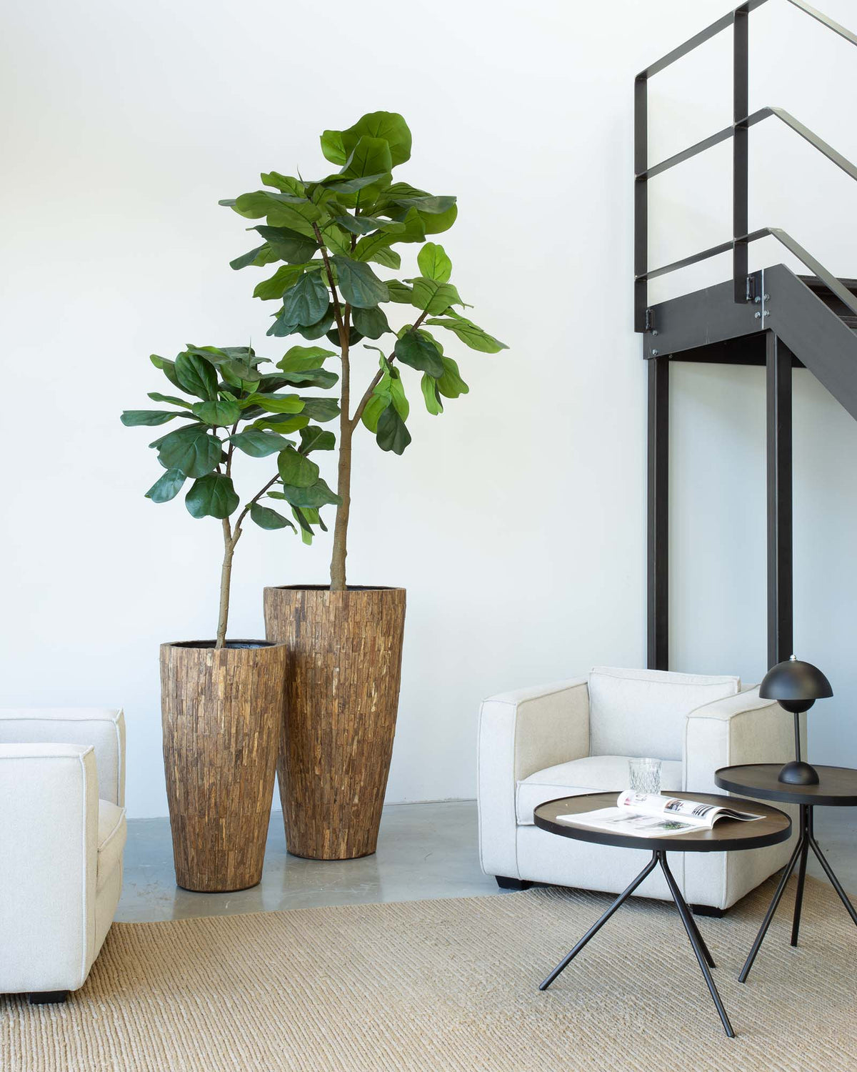 Ligno Set mit Geigenfeige