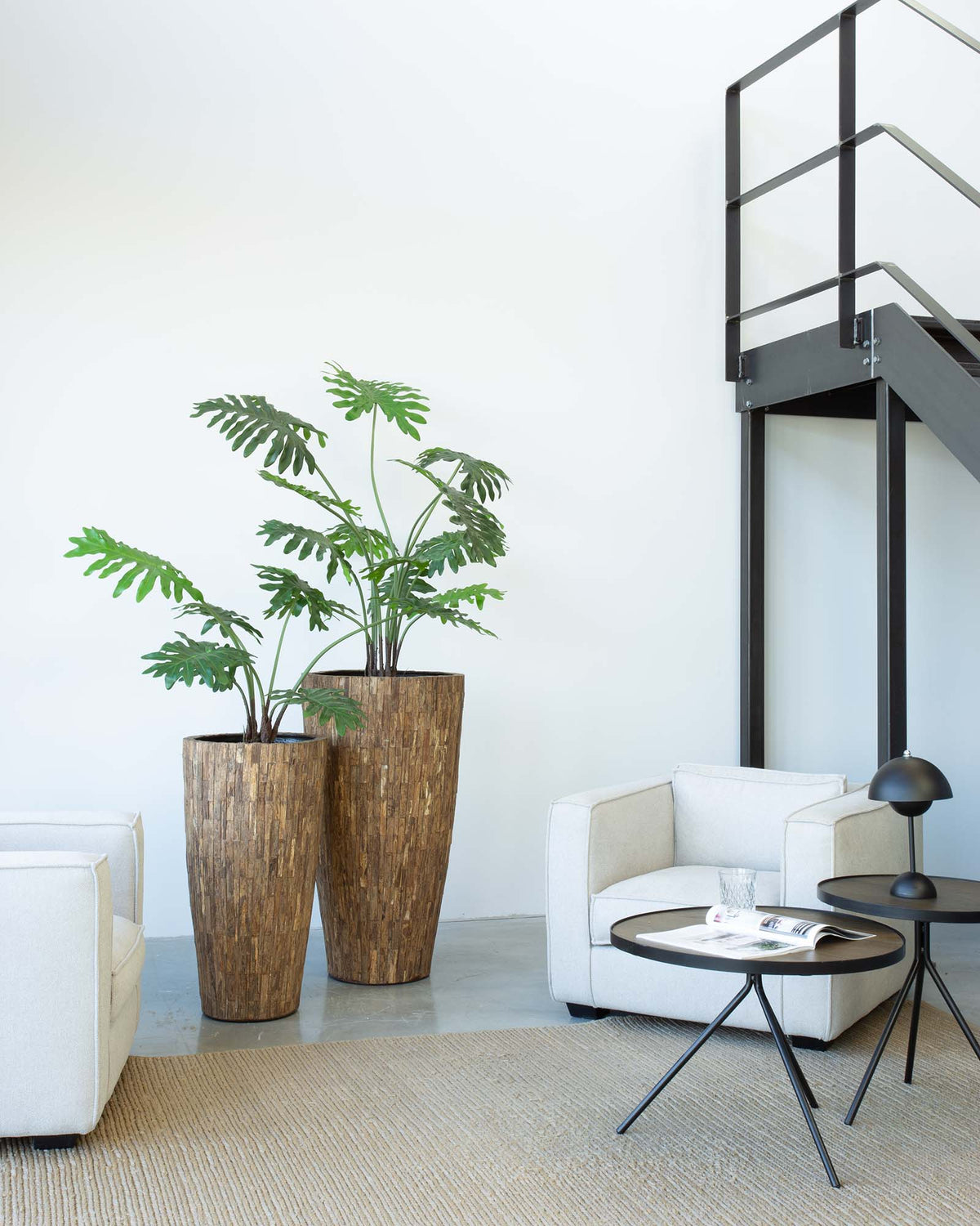 Ligno Set mit Baum-Philodendron