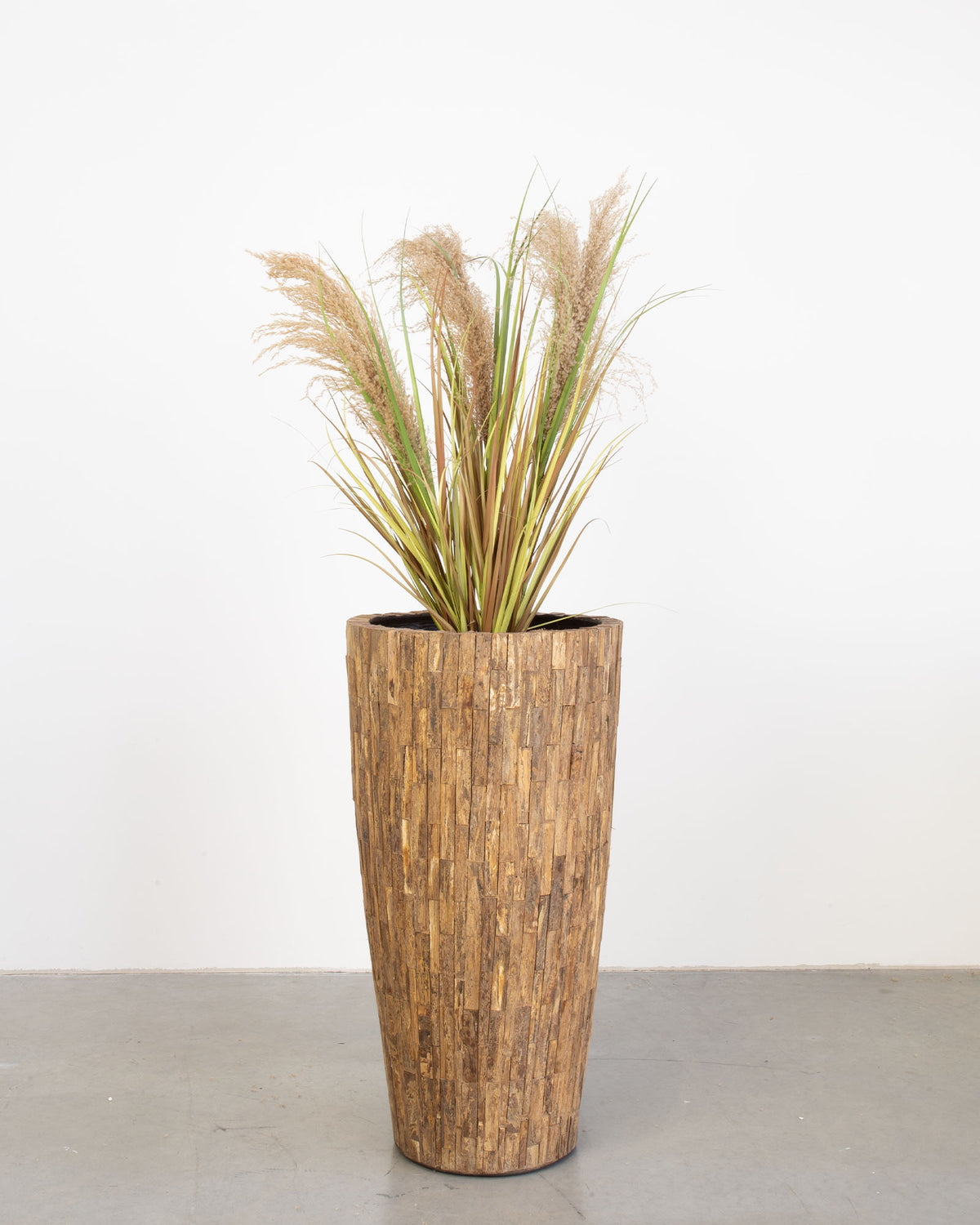 Ligno Set mit Pampasgras