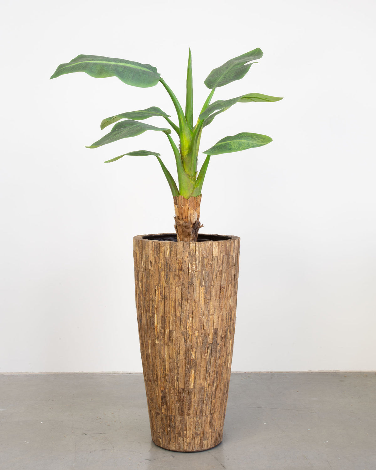 Ligno Set mit Bananenbaum