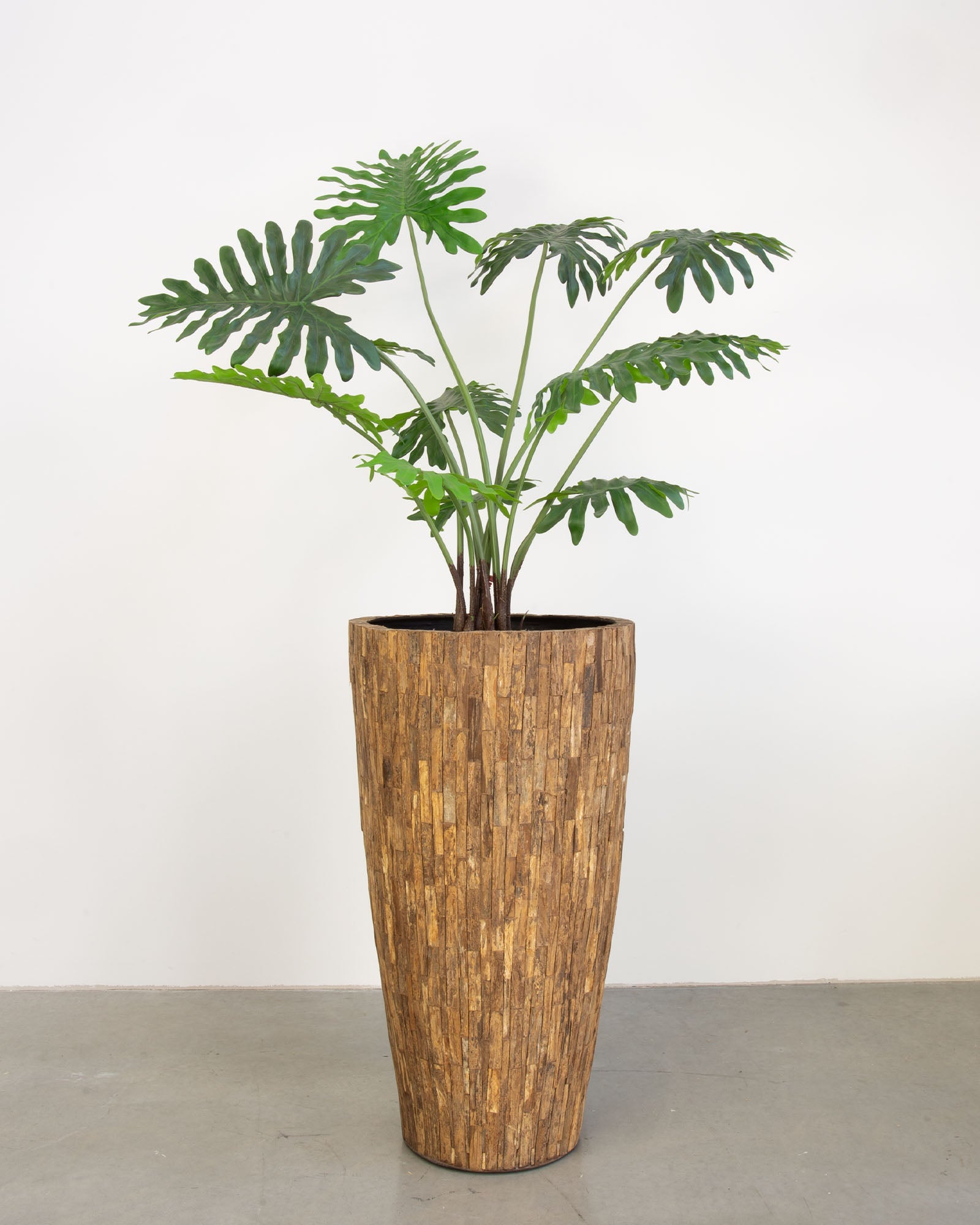 Ligno Set mit Baum-Philodendron