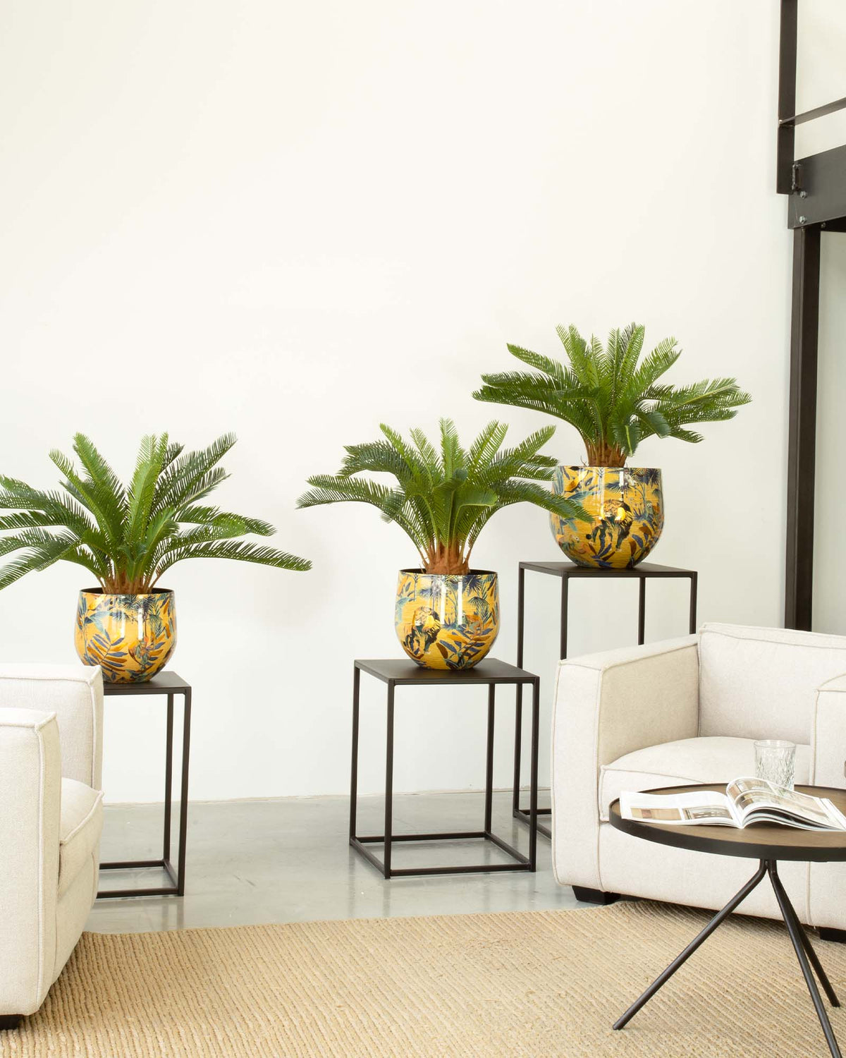 Safari Gold Tischgefäß Set mit japanischem Sagopalmfarn