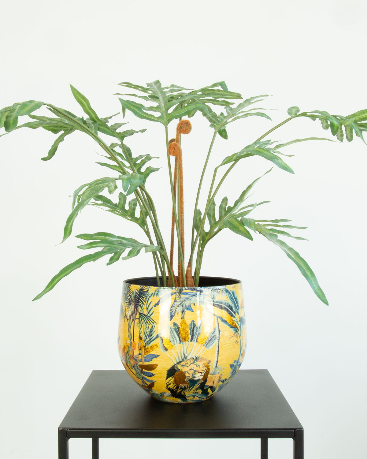 Safari Gold Tischgefäß Set mit Goldtüpfelfarn