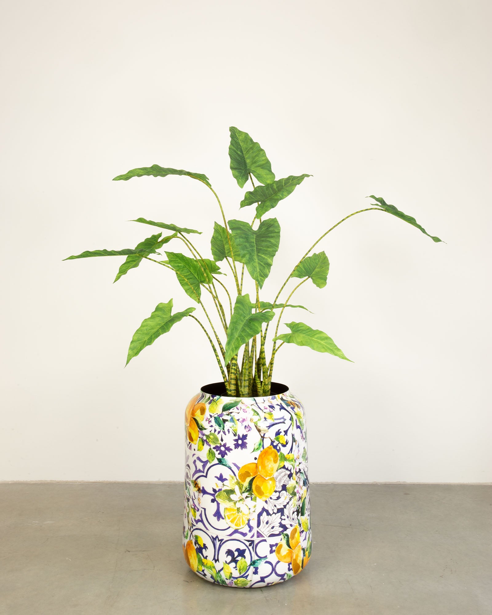 Lemon Harmony Bodenvase Set mit Zebra-Elefantenohr