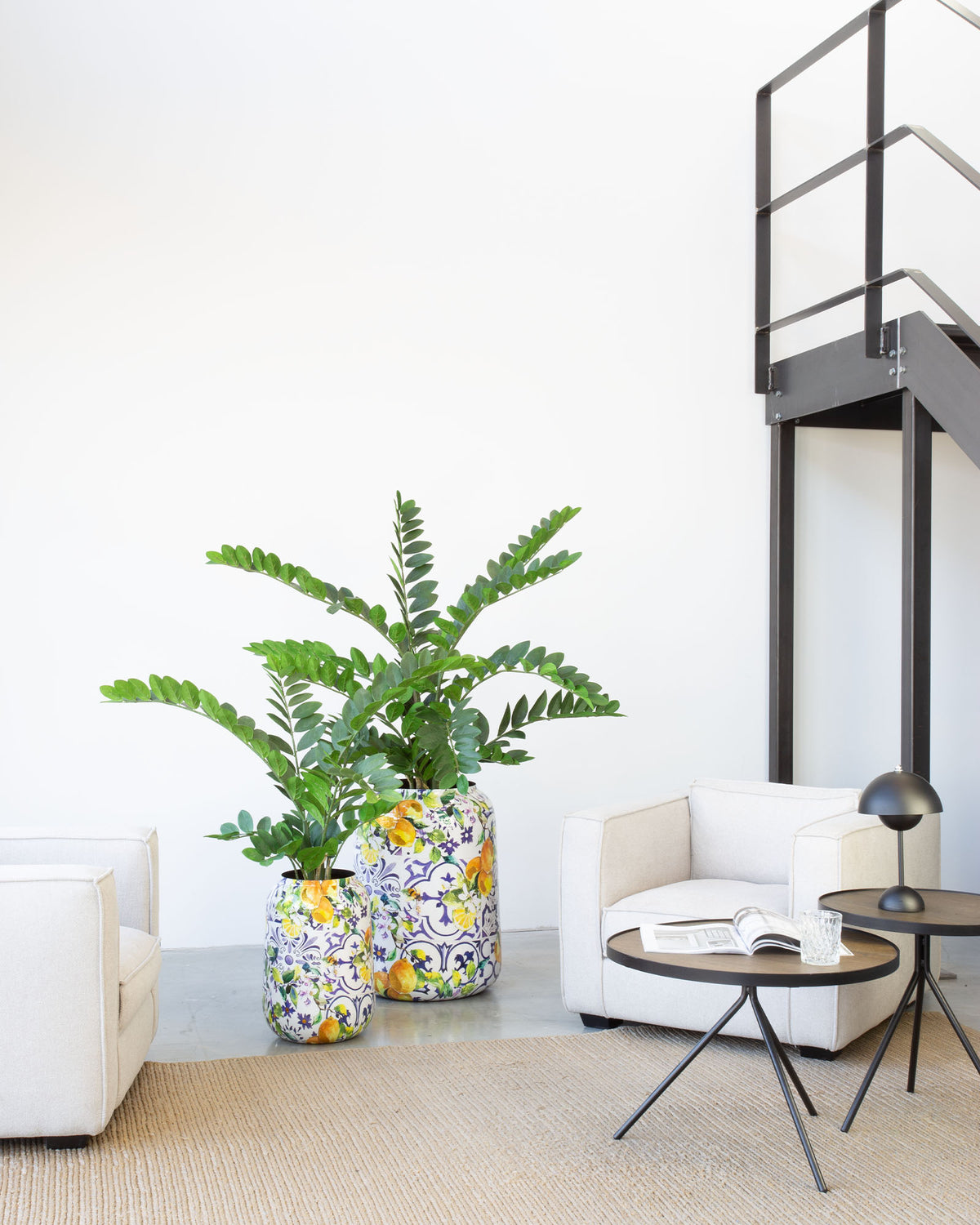 Lemon Harmony Bodenvase Set mit Zamioculcas