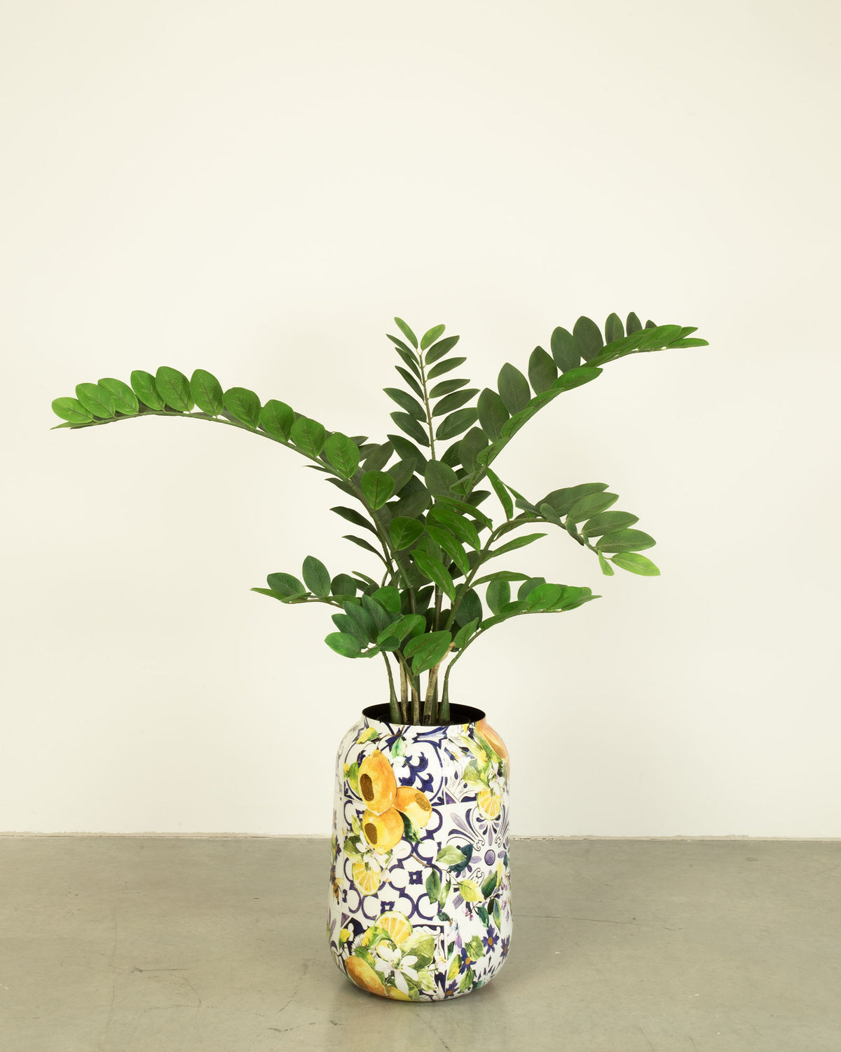 Lemon Harmony Bodenvase Set mit Zamioculcas