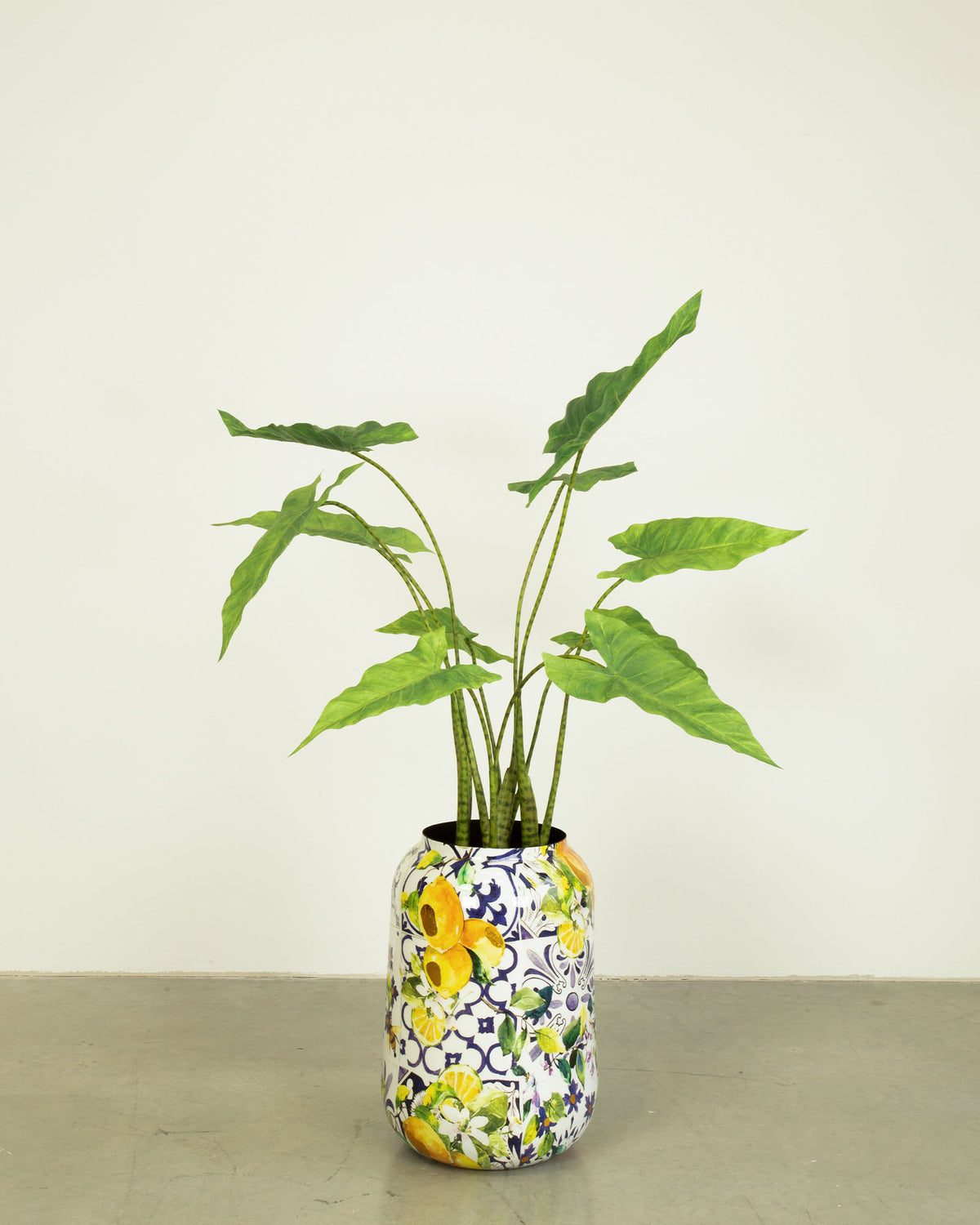 Lemon Harmony Bodenvase Set mit Zebra-Elefantenohr