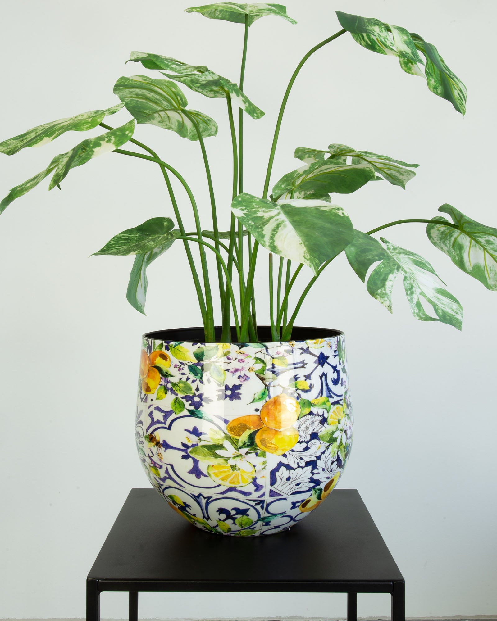 Lemon Harmony Tischgefäß Set mit Fensterblatt