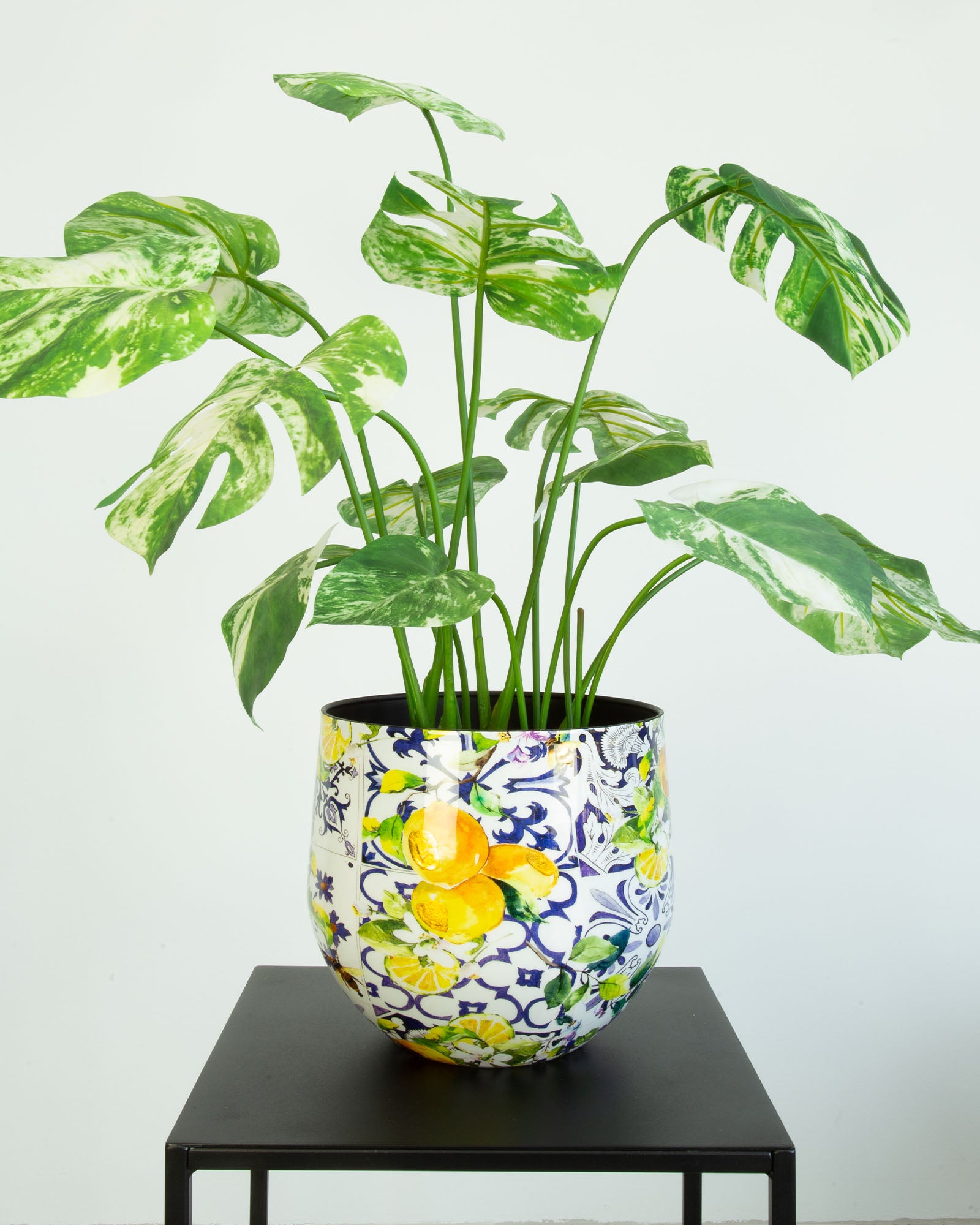 Lemon Harmony Tischgefäß Set mit Fensterblatt