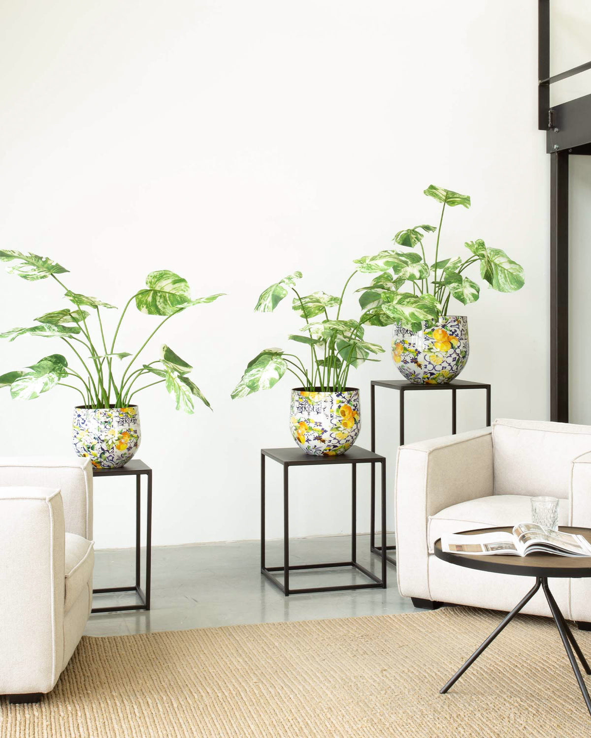 Lemon Harmony Tischgefäß Set mit Fensterblatt