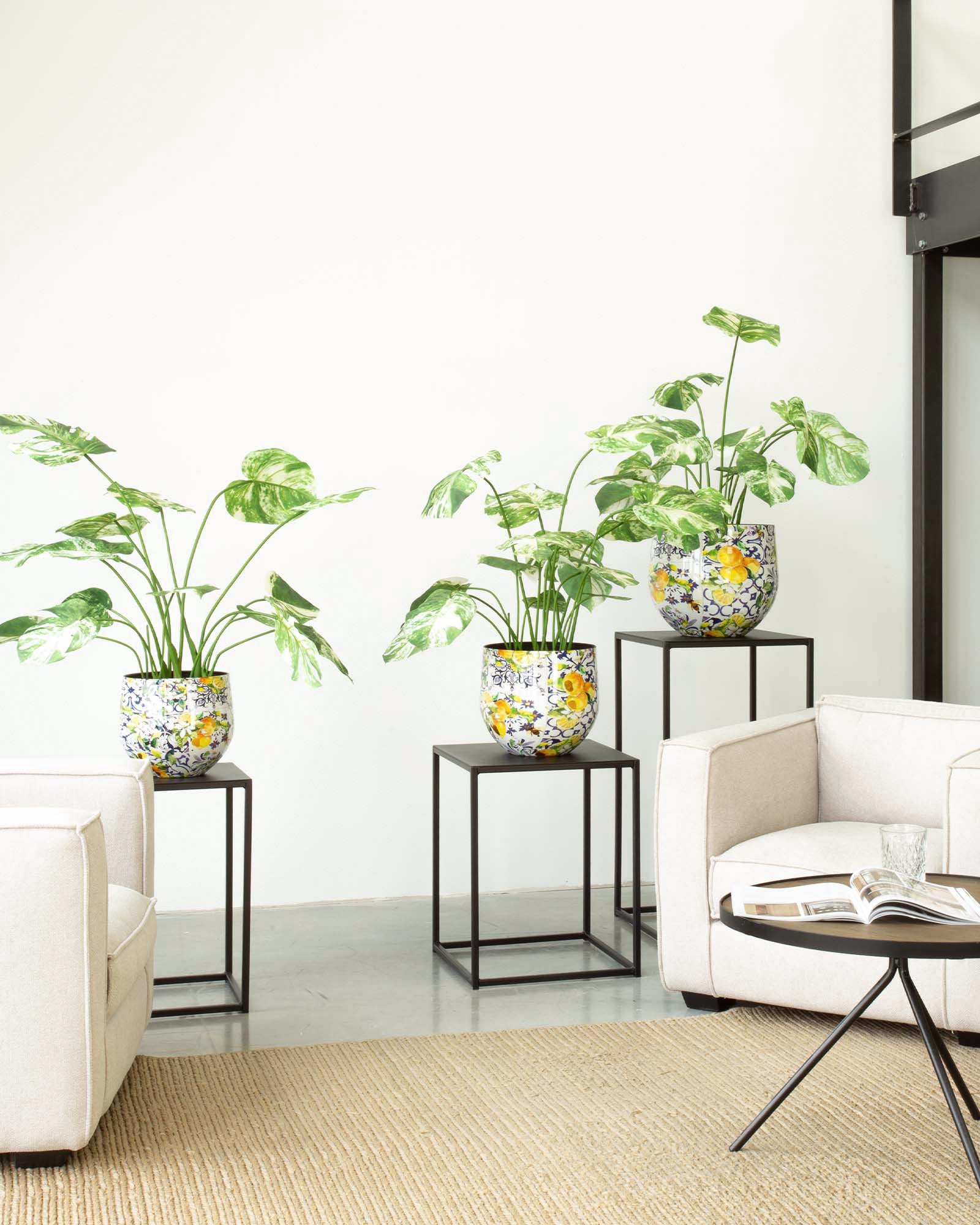Lemon Harmony Tischgefäß Set mit Fensterblatt