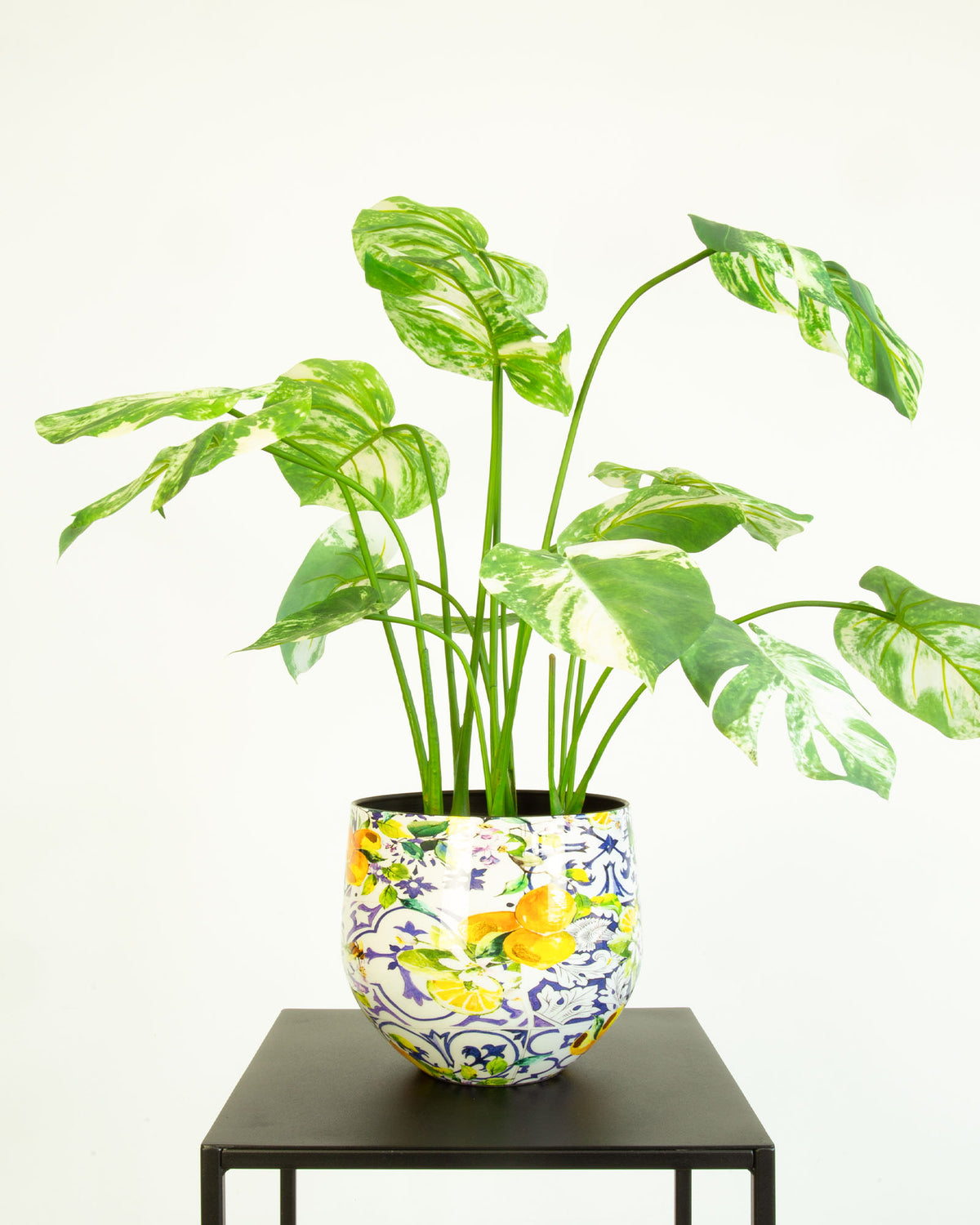 Lemon Harmony Tischgefäß Set mit Fensterblatt