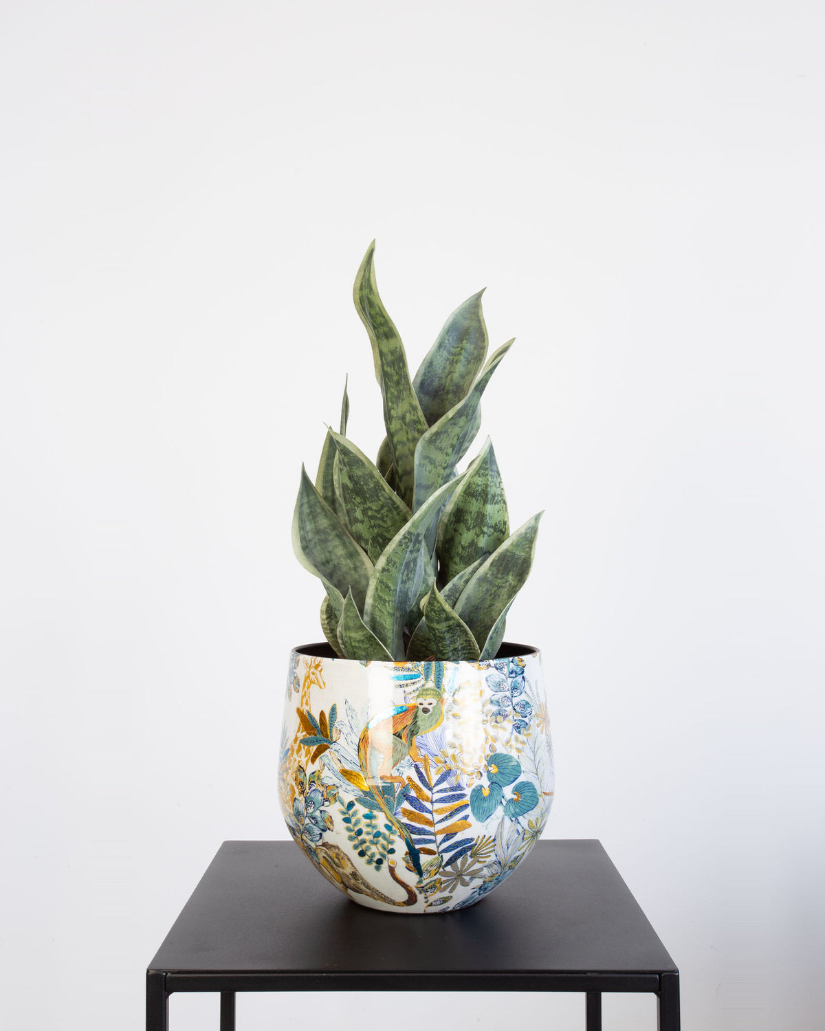 Tropic Indigo Tischgefäß Set mit Bogenhanf