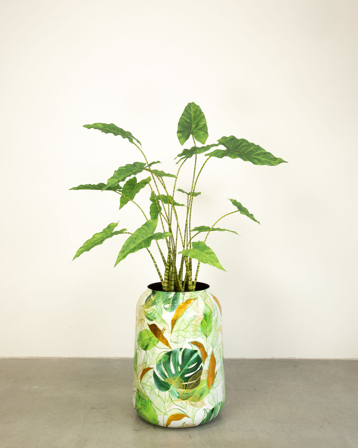 Botanical Grace Bodenvase Set mit Zebra-Elefantenohr