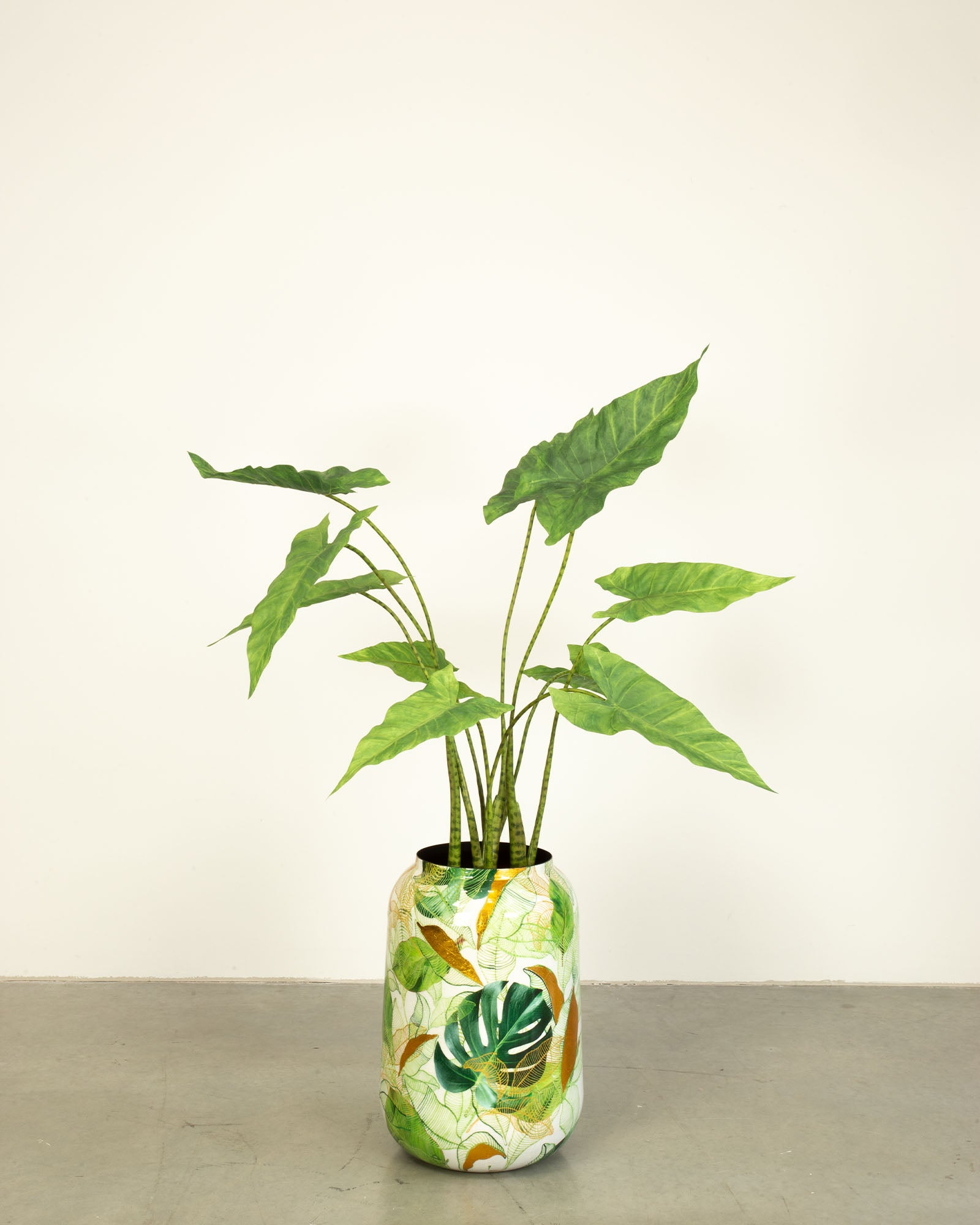 Botanical Grace Bodenvase Set mit Zebra-Elefantenohr