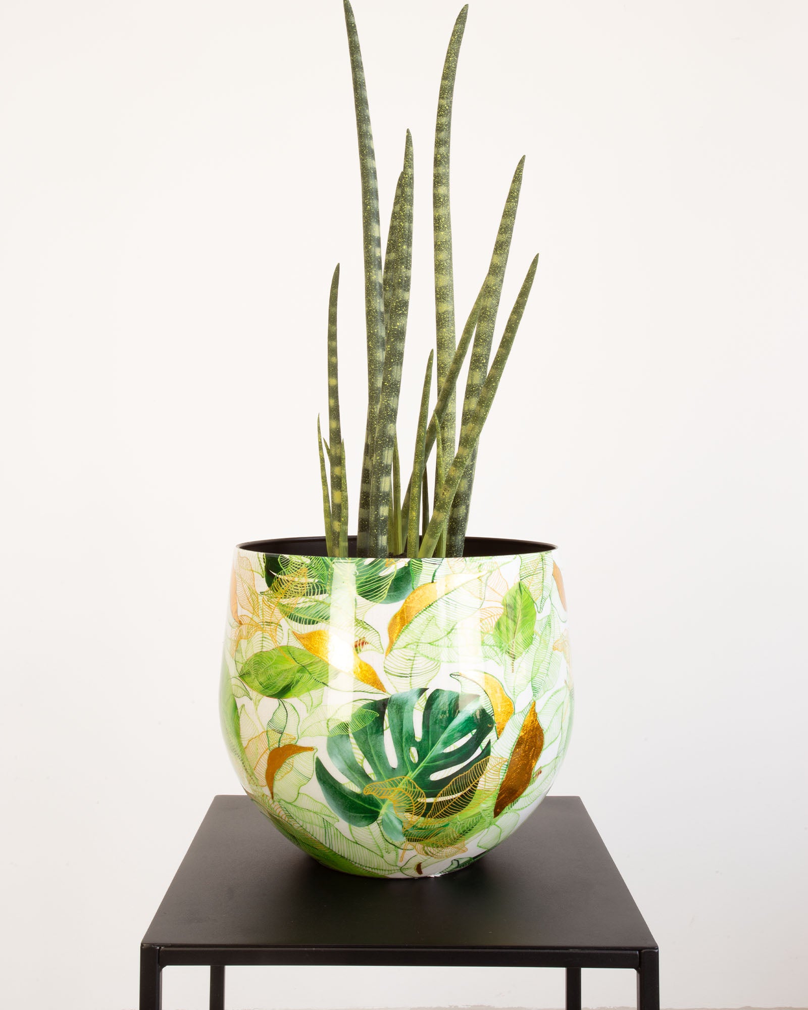 Botanical Grace Tischgefäß Set mit Bogenhanf