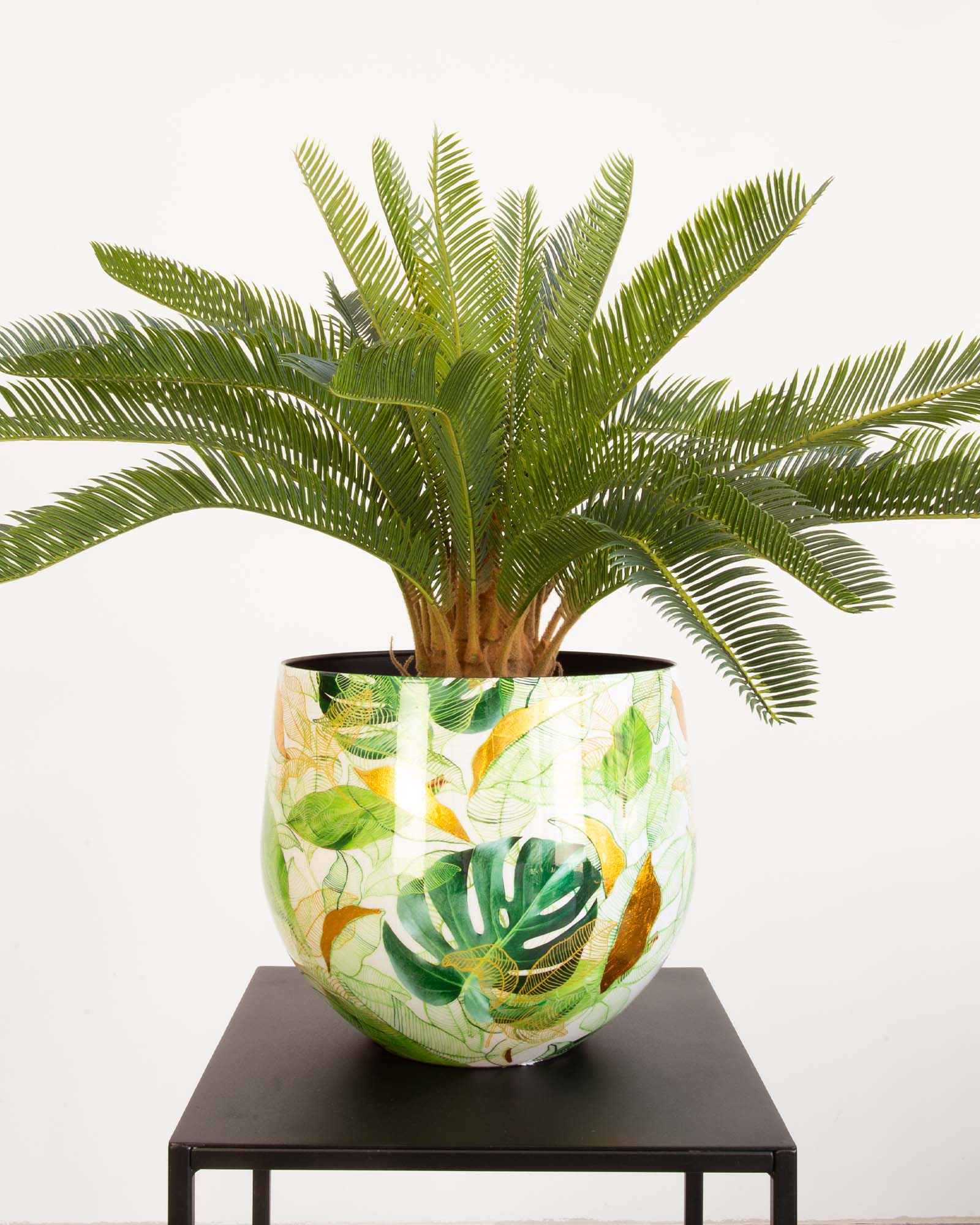 Botanical Grace Tischgefäß Set mit japanischem Sagopalmfarn