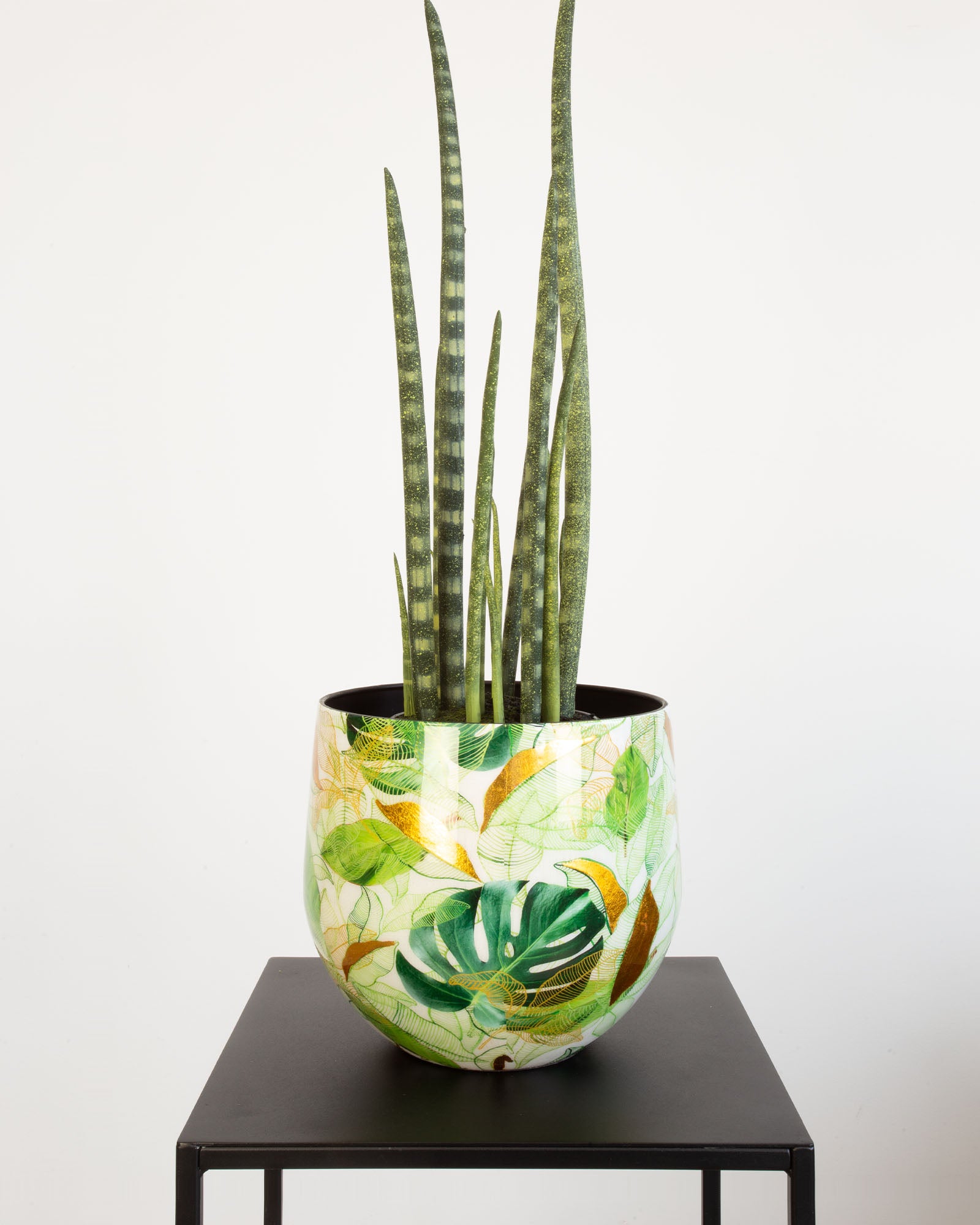 Botanical Grace Tischgefäß Set mit Bogenhanf
