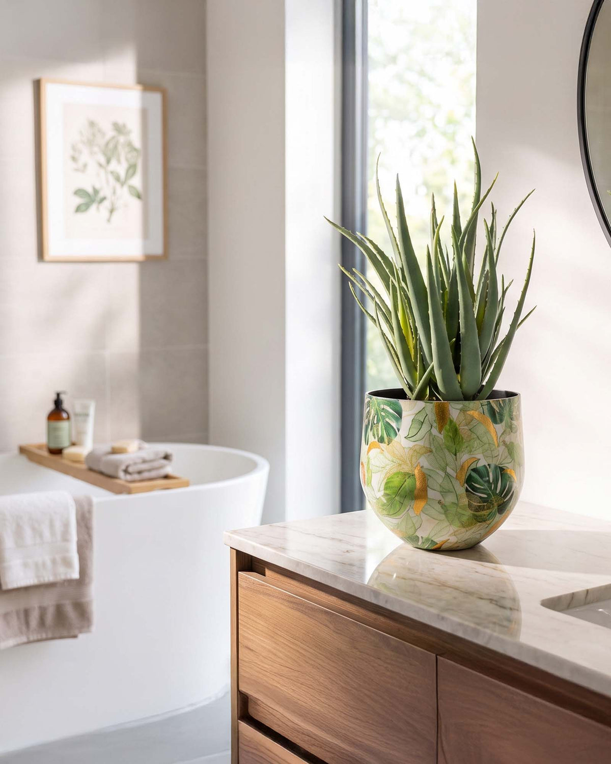 UV-stabile Aloe Vera von Get Your Green im recycelten Designtischgefäß Frontansicht für das Bad