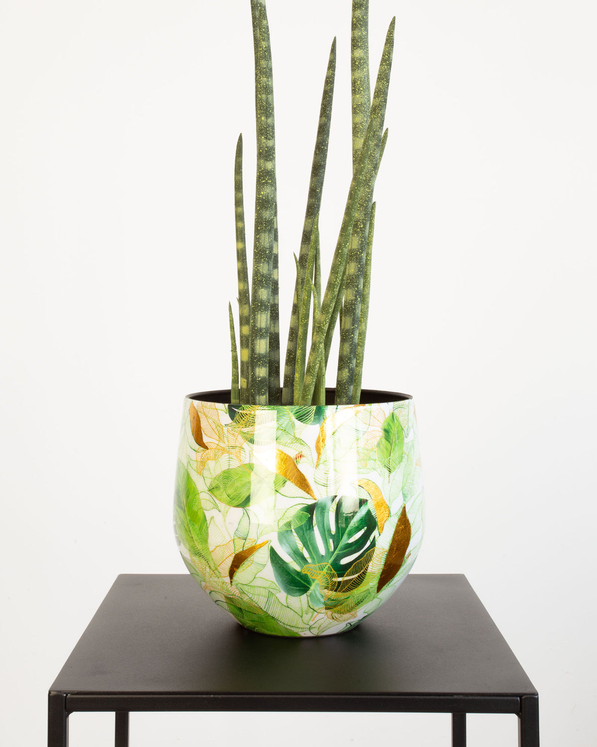 Botanical Grace Tischgefäß Set mit Bogenhanf