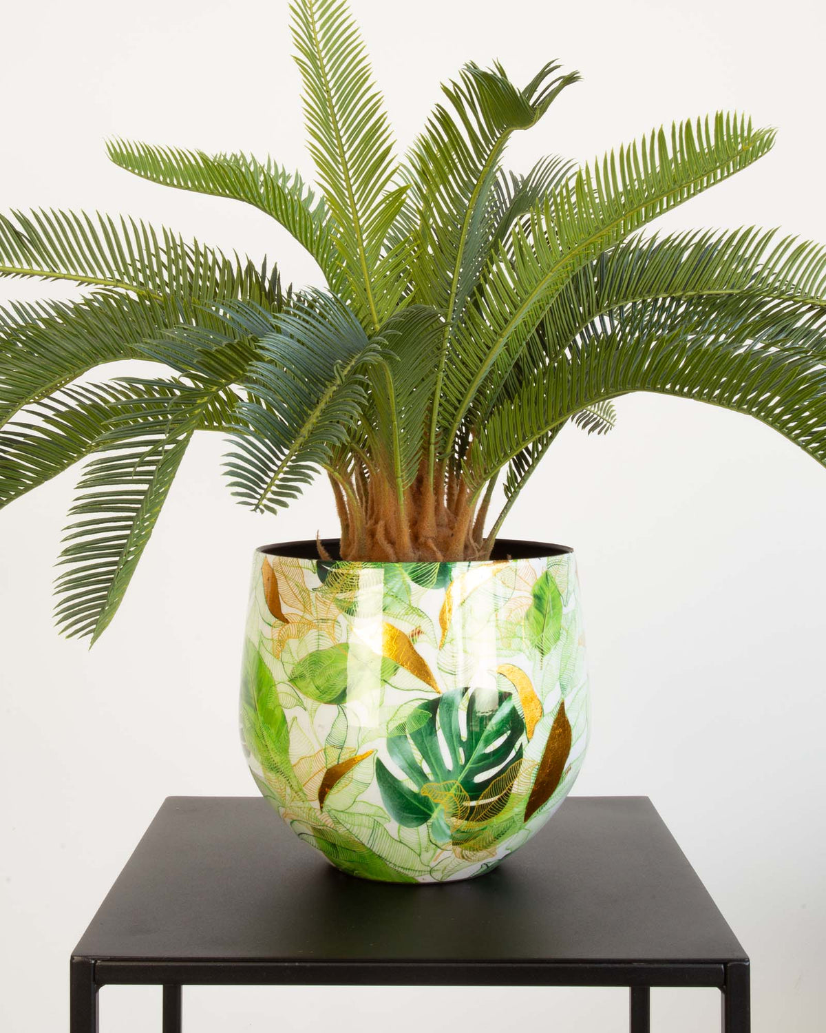 Botanical Grace Tischgefäß Set mit japanischem Sagopalmfarn