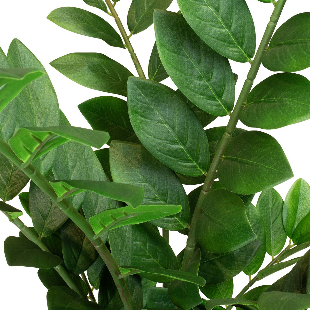 Zamioculcas - Glücksfeder Kunstpflanze