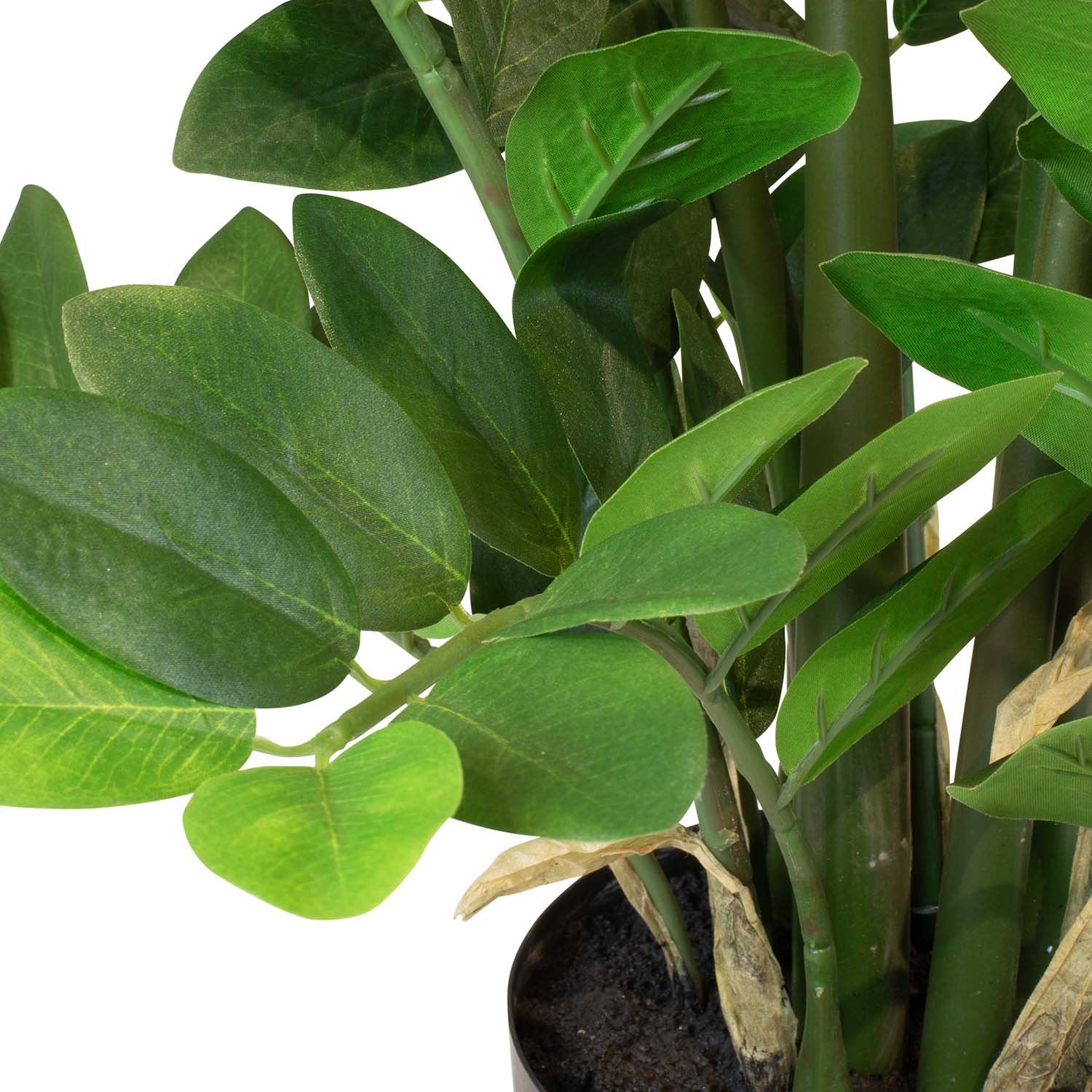 Zamioculcas - Glücksfeder Kunstpflanze