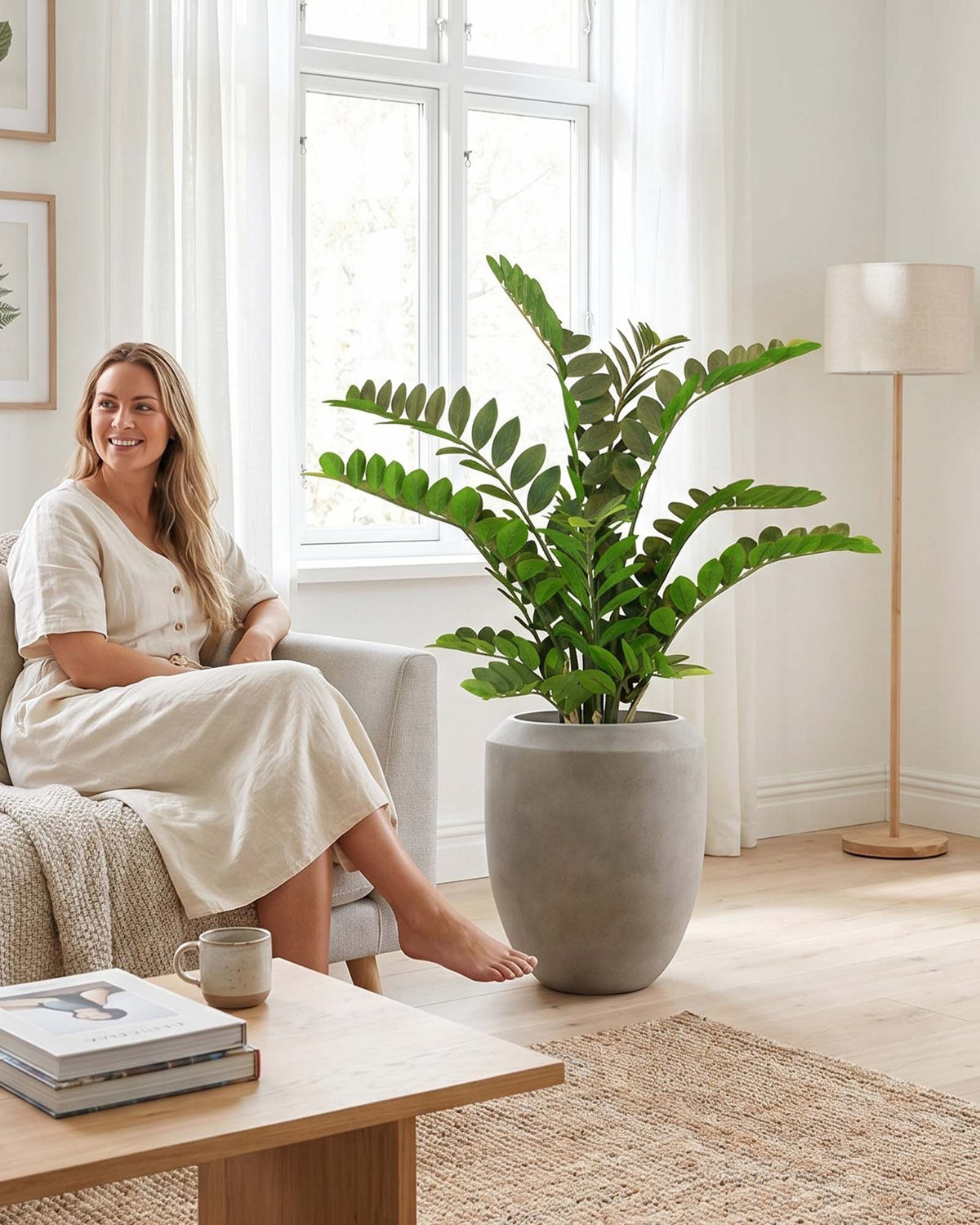 Zamioculcas - Glücksfeder Kunstpflanze