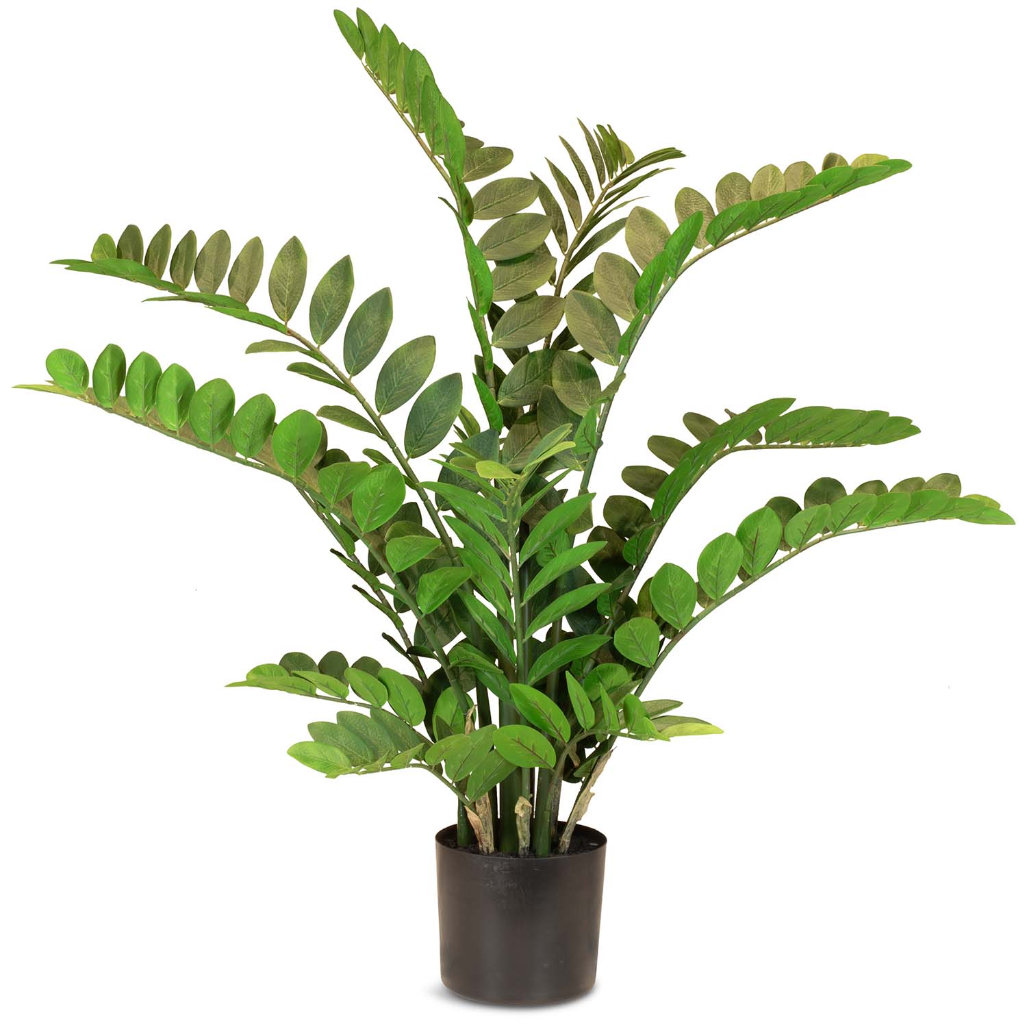 Zamioculcas - Glücksfeder Kunstpflanze